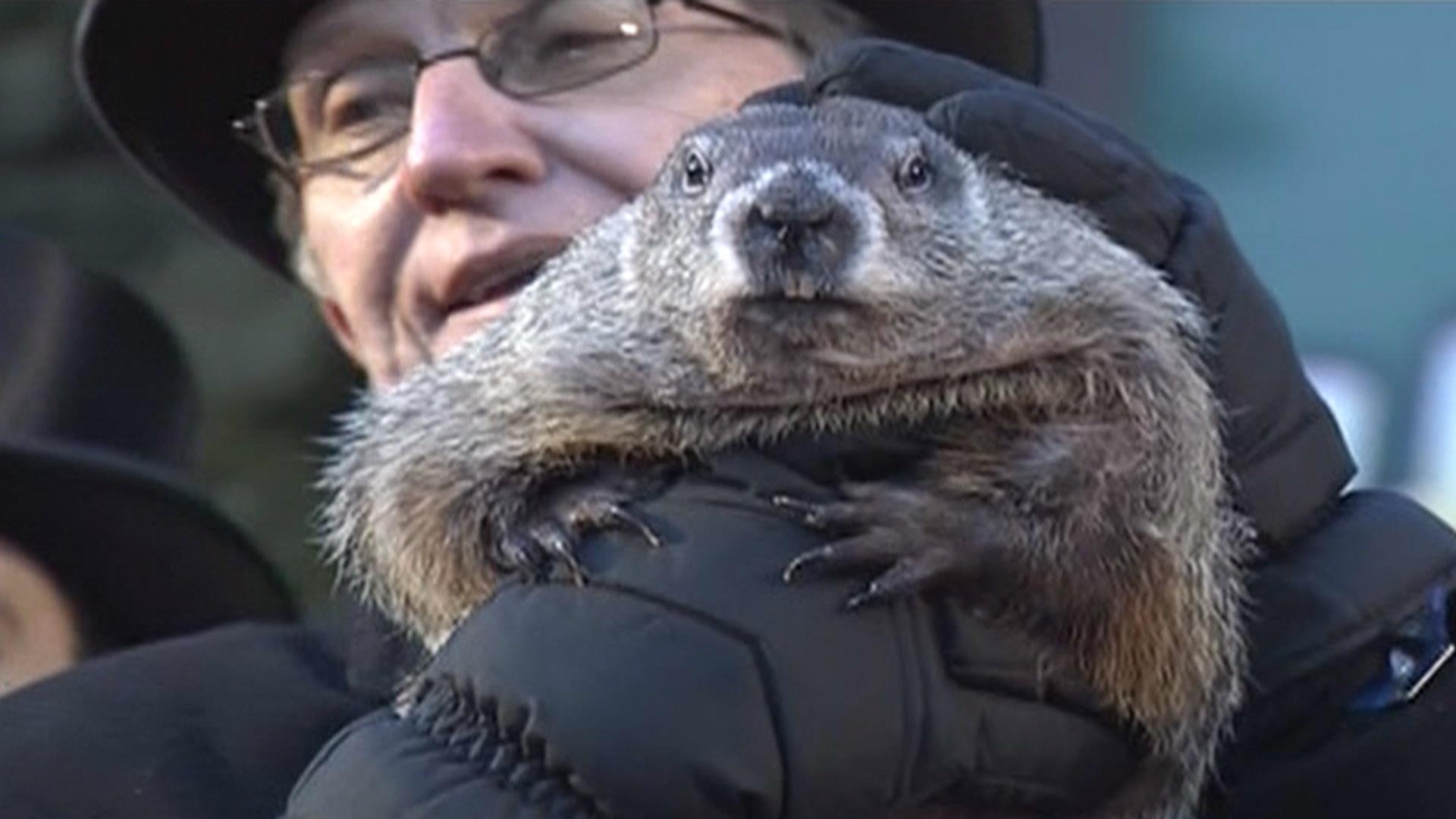 Marmot Интернет Магазин День Сурка Marmot Интернет Магазин День Сурка