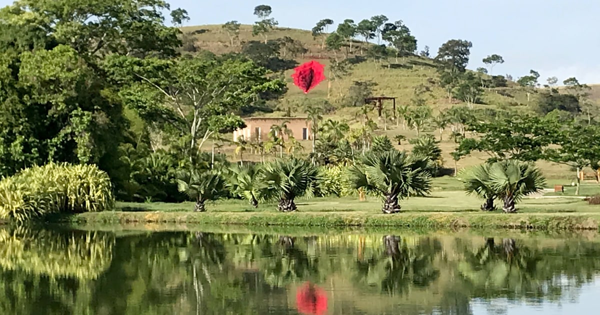 Giant Vagina Sculpture Fuels Culture Wars In Brazil