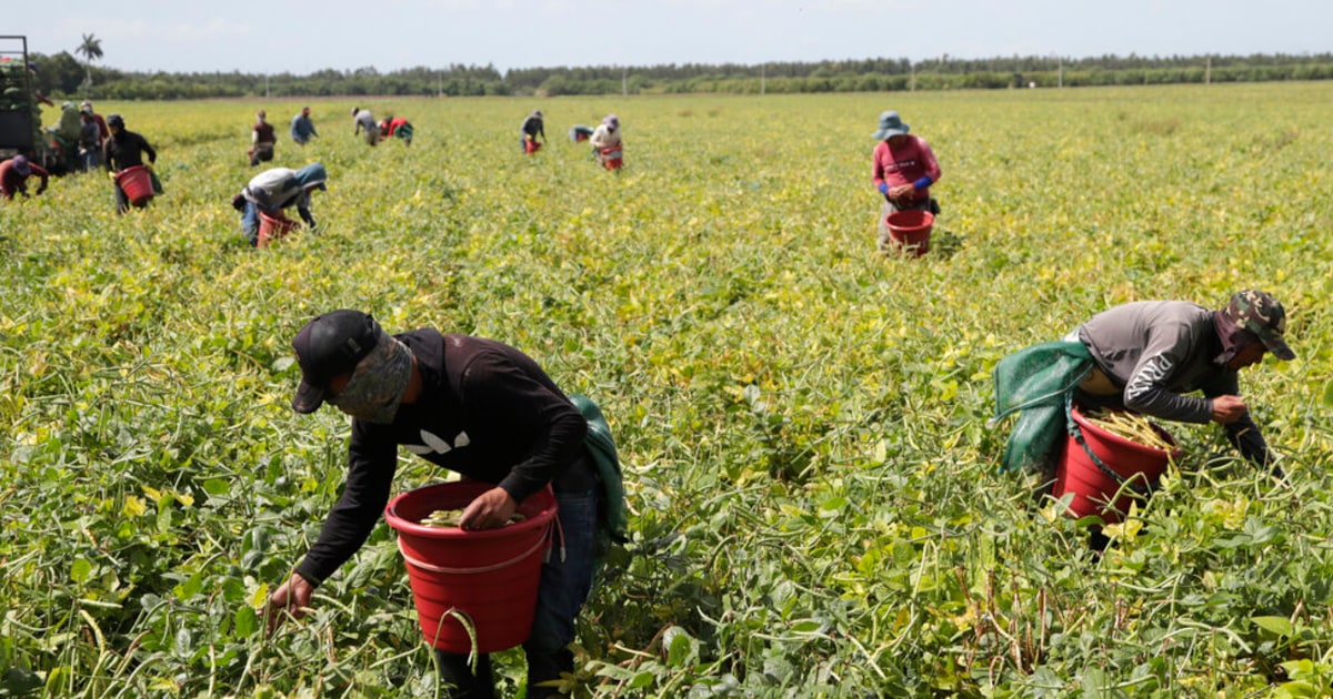 Ley migratoria SB 1718 de DeSantis en Florida explicamos qué castigos