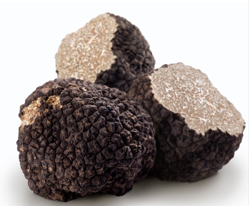 Black truffles reproduce sexually