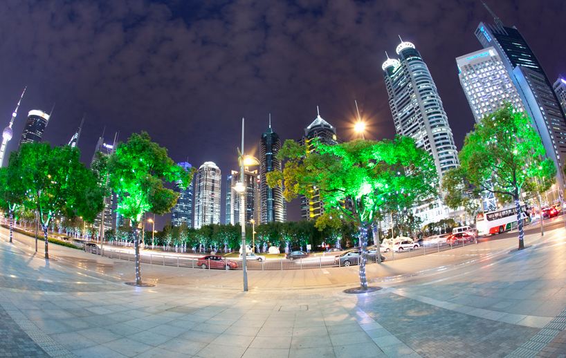 Could glowing trees replace streetlights ? - kobi lighting studio