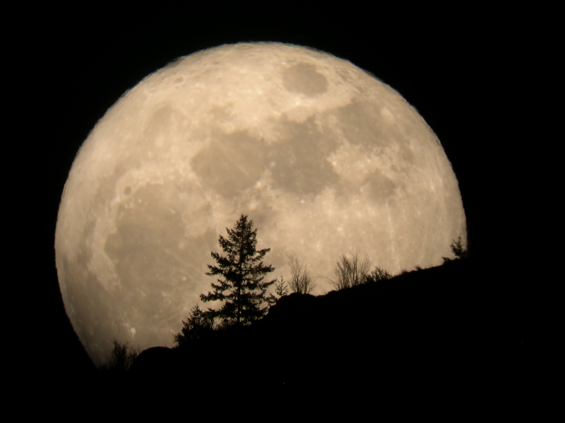 Луна стучит. Луна. Огромная Луна. Фото Луны. Полная Луна.