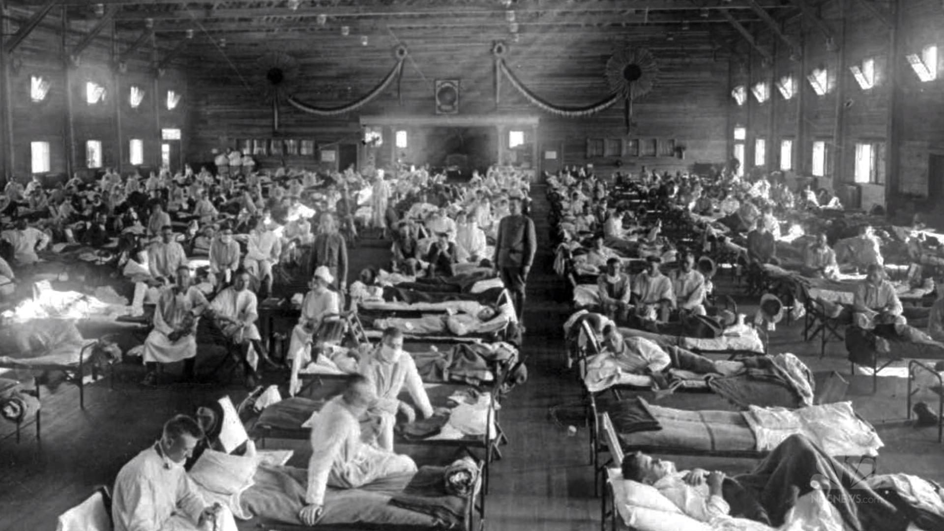 Брюшной грипп. Пандемия черной оспы в 20 веке.