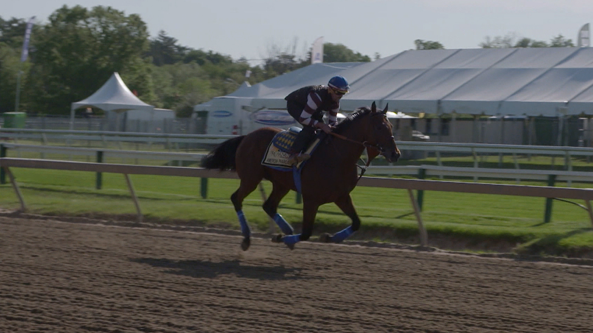 American Pharoah Wins Preakness In Downpour - CBS Baltimore