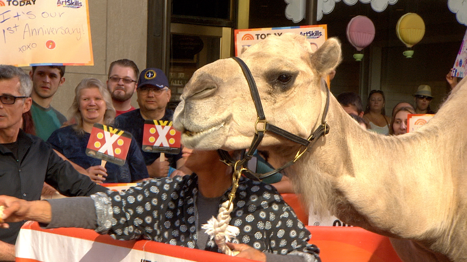 The Rockettes celebrate ‘Christmas in August’ - with a camel!