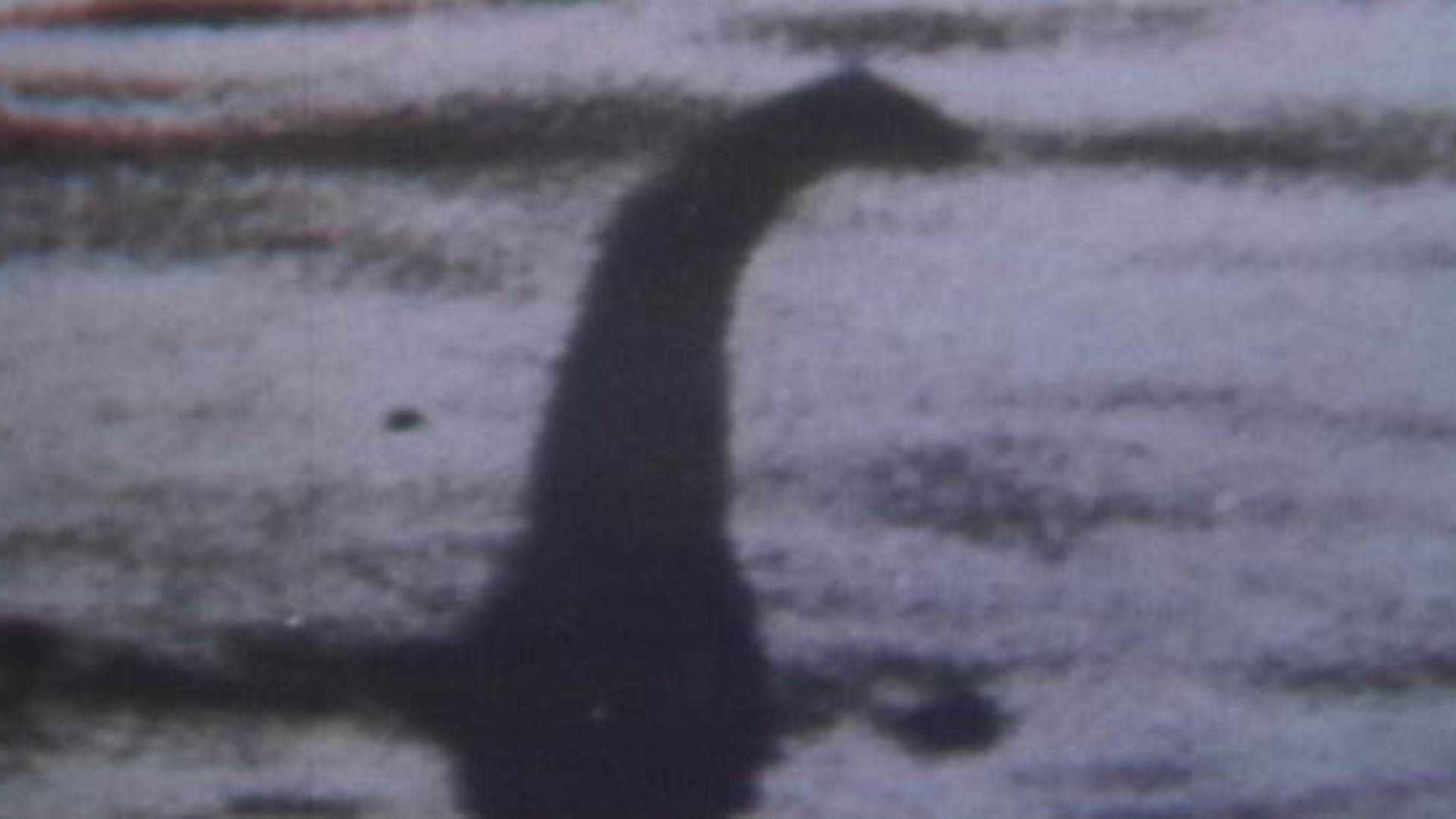 Лохнесское чудовище реальные фото. Лох-Несс озеро чудовище. Пещера who is Loch Ness.. The Loch Ness Monster thought to be one of the Worlds most famous Mysteries. Nessie the Loch Ness Monster (Freddie as f.r.o.7).