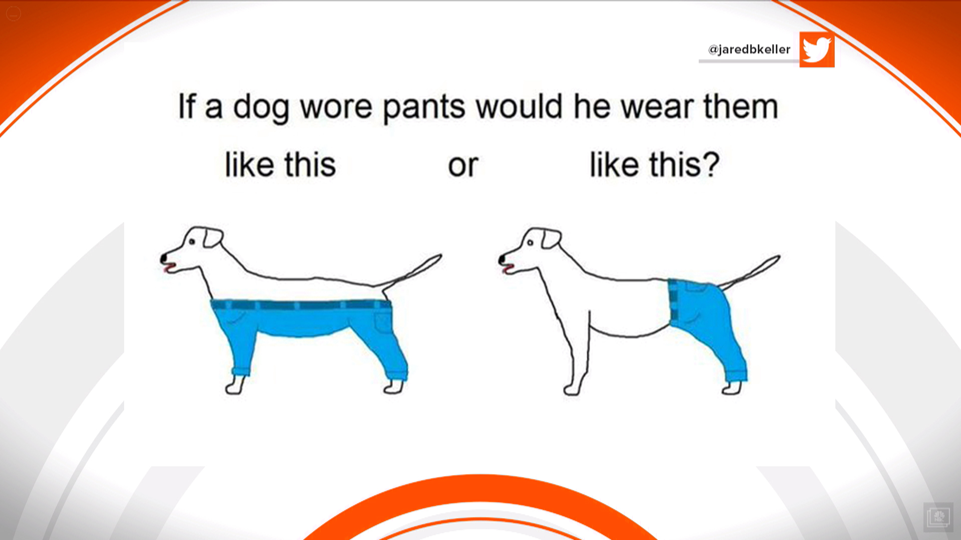 How dogs. How would a Centaur Wear Pants. I would like to have a Dog. Why does my Dog Pant. A Dog four Legs.