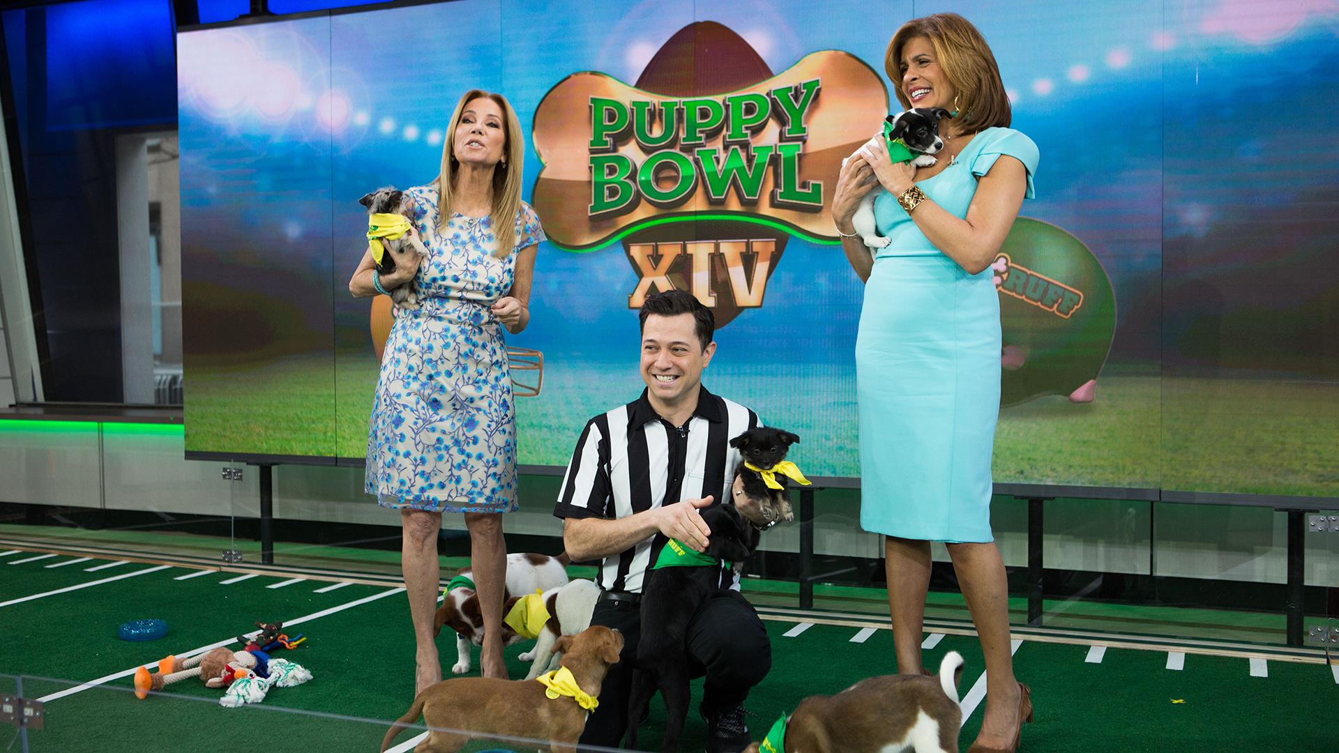 Meet the 'ruff'-aree of Puppy Bowl 14 (and 9 adorable puppies!)