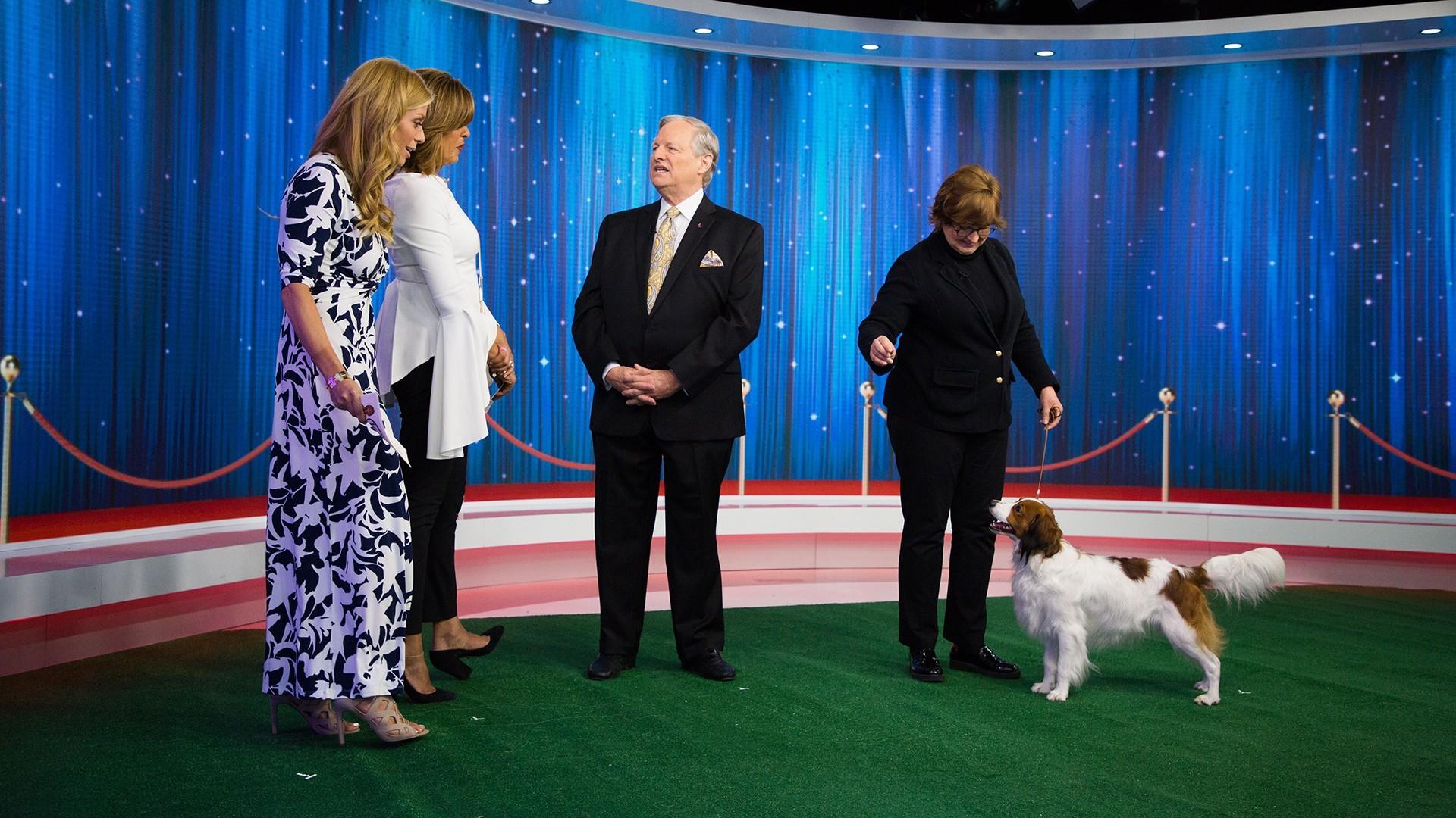 National dog best sale show 2018 judges