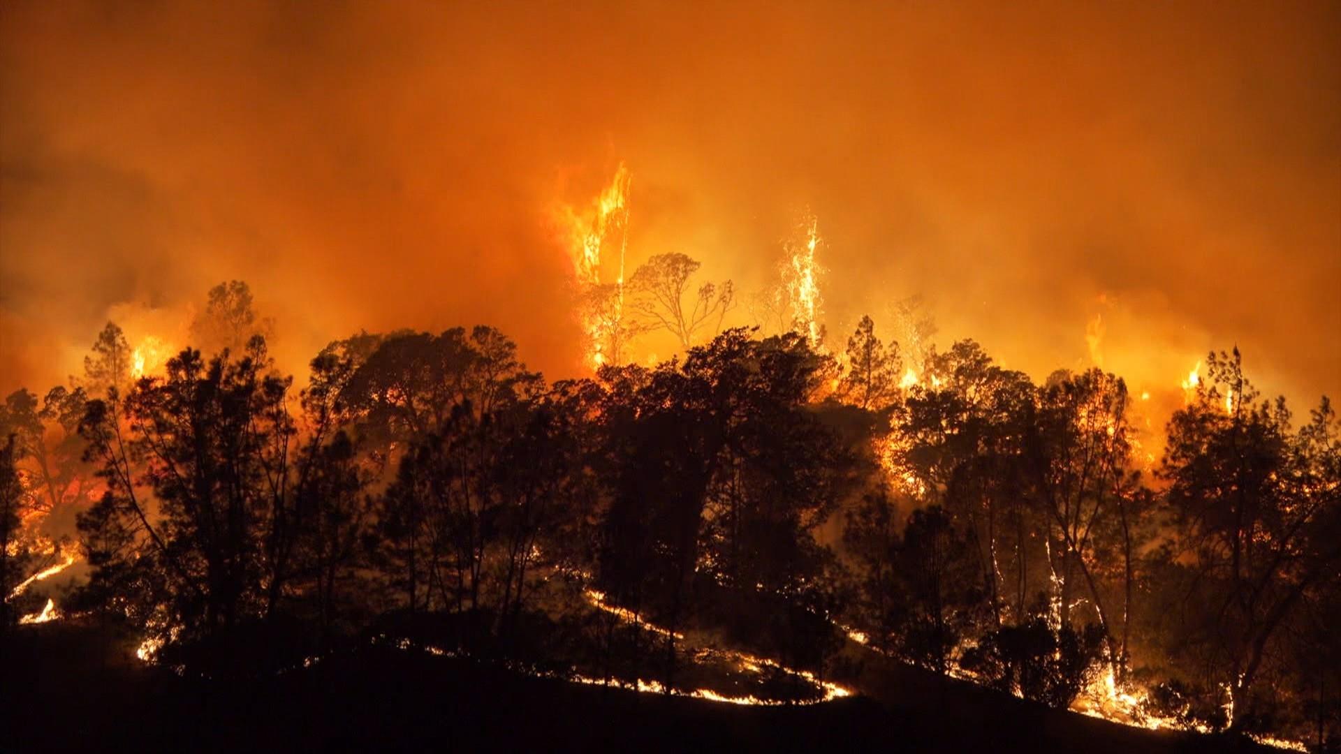 Лесной пожар 2014. Wildfire weather. Wildfire e2. Wind and drought.