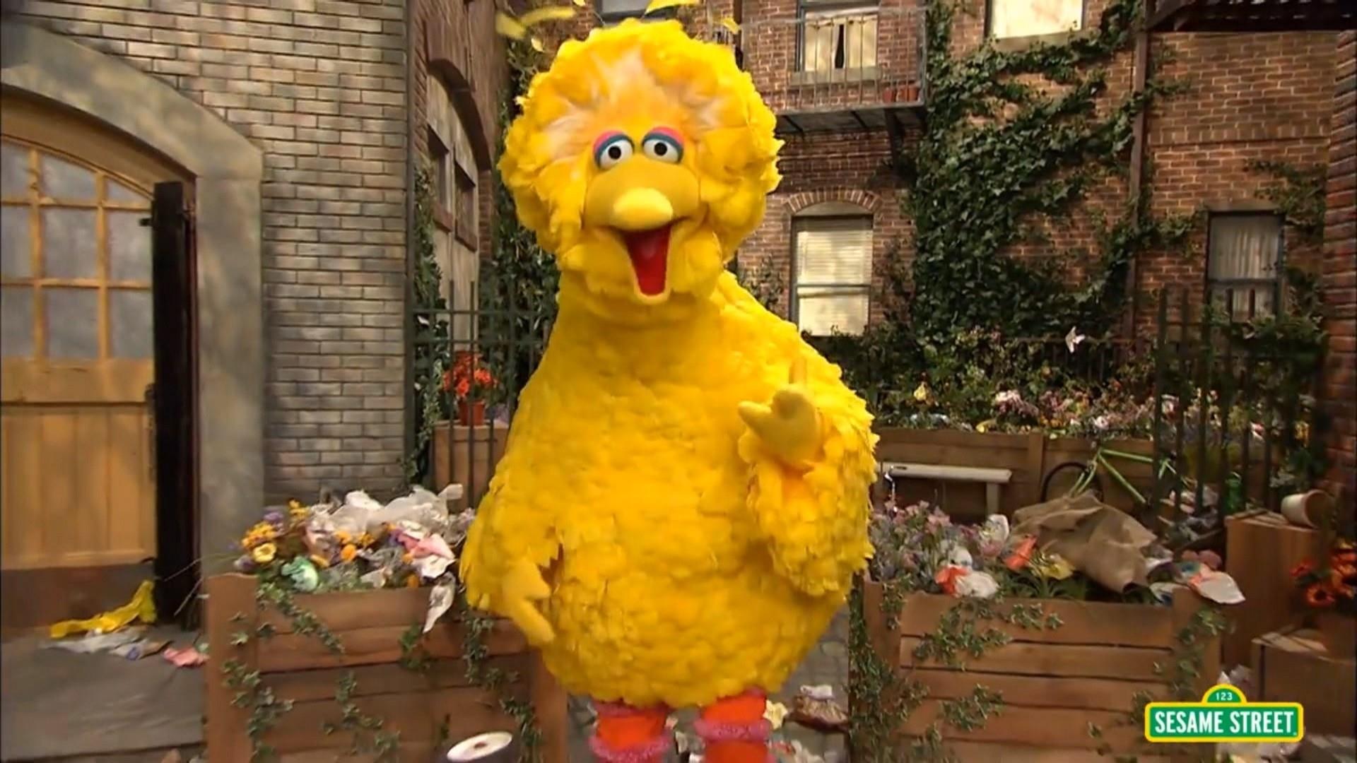 Big Bird puppeteer Caroll Spinney retires from 'Sesame Street' .