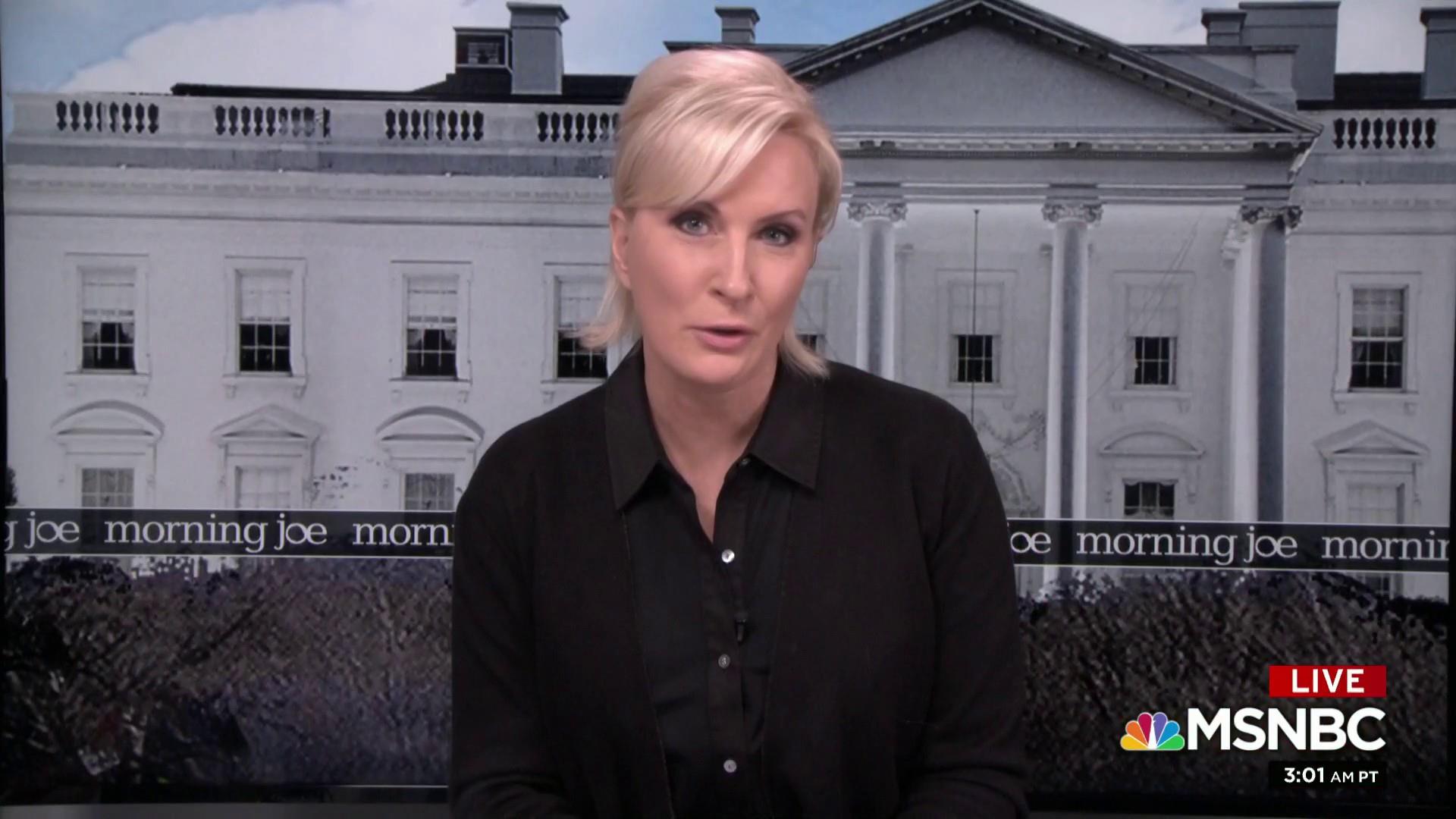 Mika Brzezinski Fakes