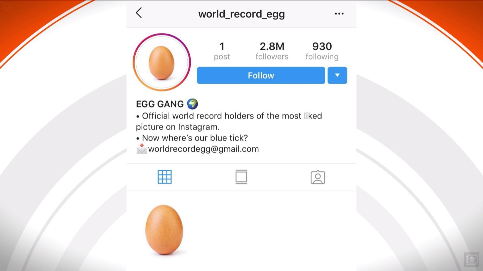 How & Why The World Record Egg Is The Most Popular Photo Ever