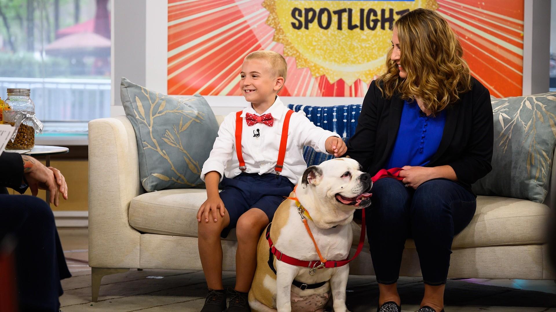 Meet the 7-year-old helping hundreds of rescue dogs find homes