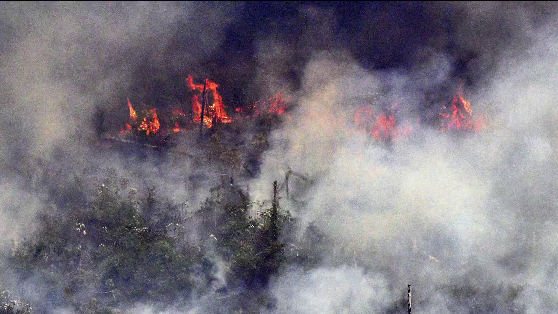 Fire on the amazon 93 го. Fire on the amazon 1993.