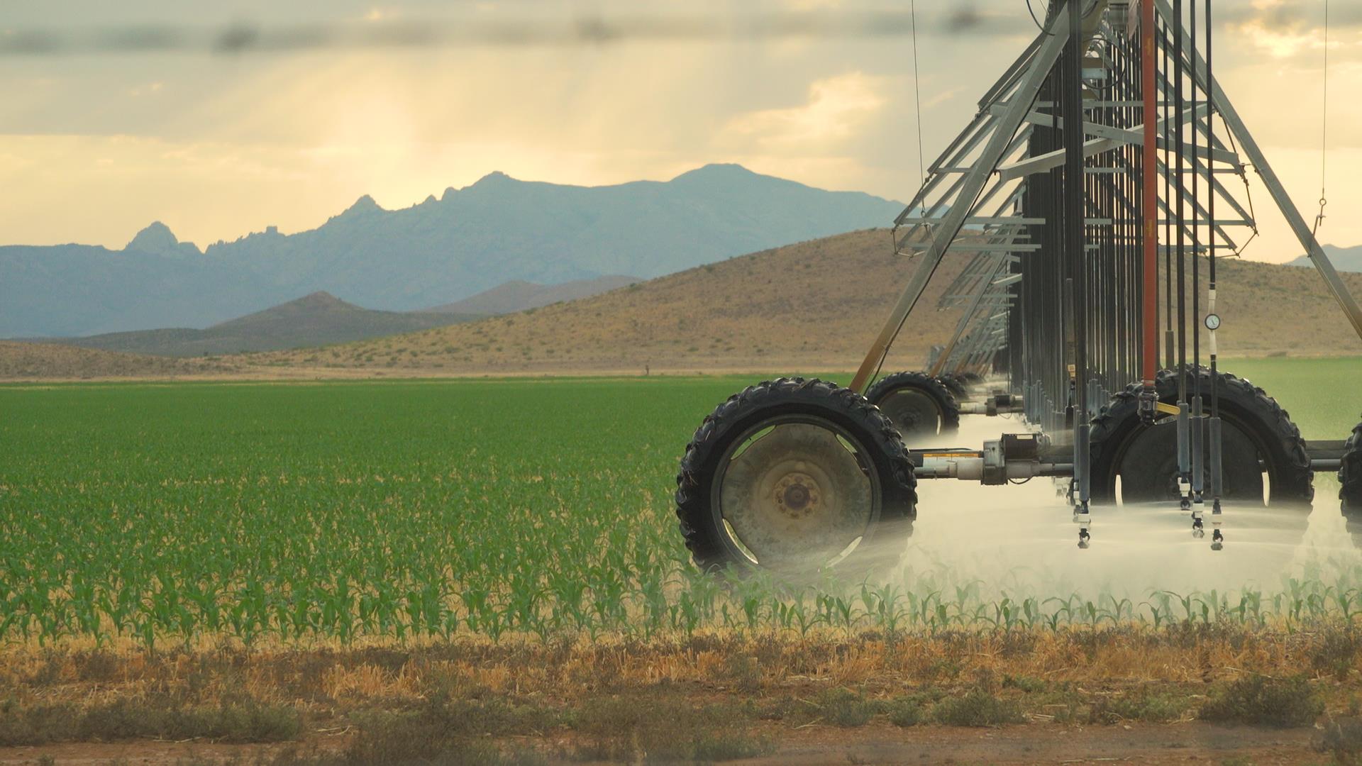 Arizona Drain. Arizona Farm. Farm inhabitant.