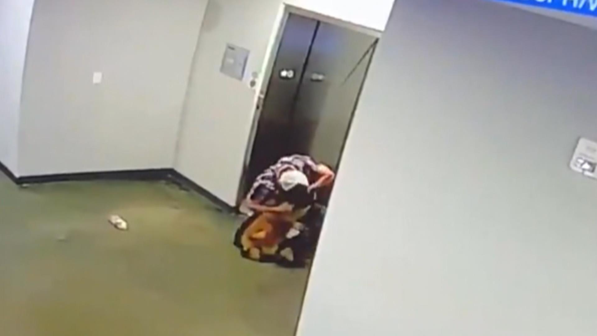 Watch Dog saved by bystander after leash gets caught in elevator