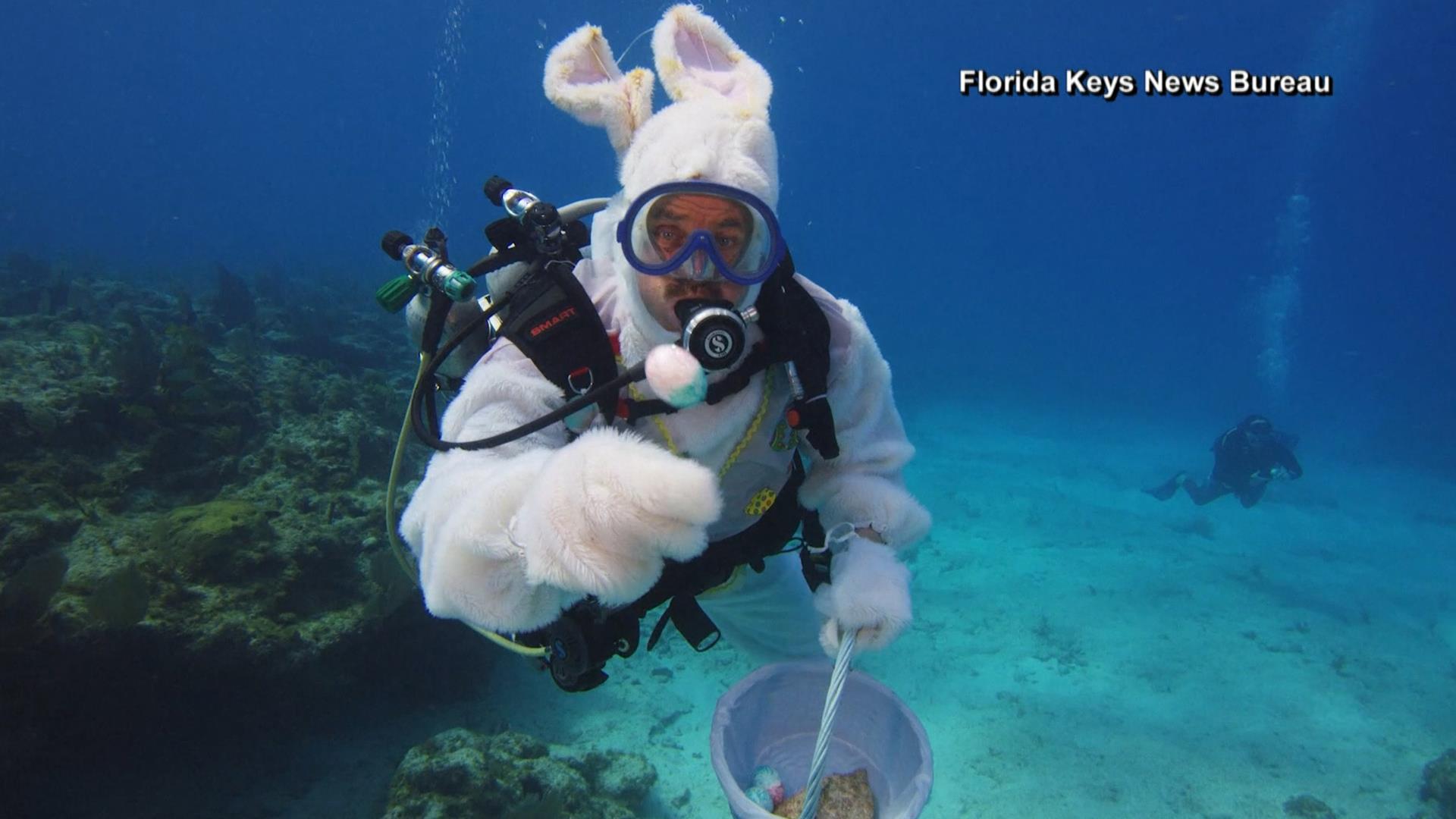 Take dives. Take dives. Take dives. Дайвинг в средиземном море. Экстремальные виды спорта кейв дайвинг.