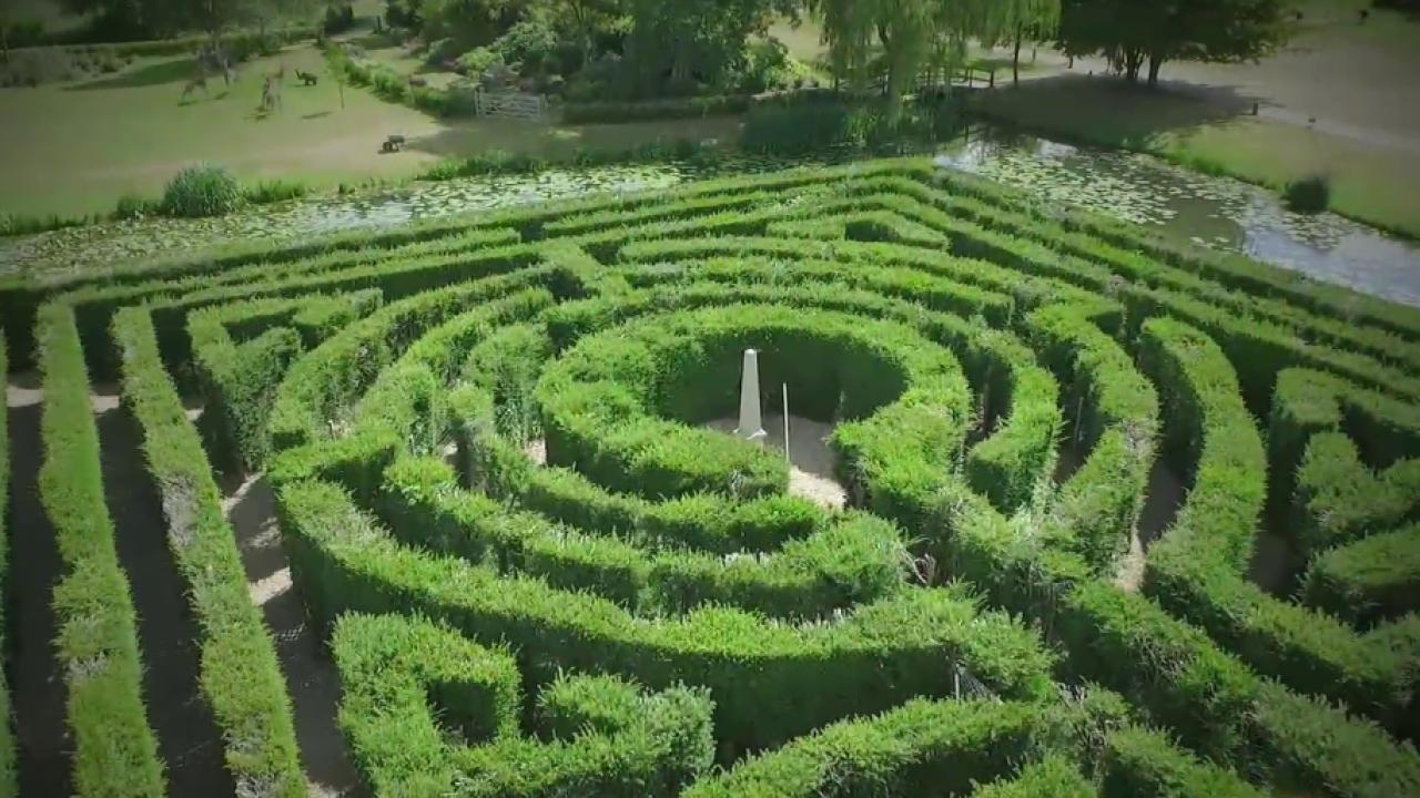 Hedge Maze 迷路庭園 フルアートFoil 英語 Hedge Maze 迷路庭園 フルアートFoil 英語 迷路庭園/HEDGE MAZE