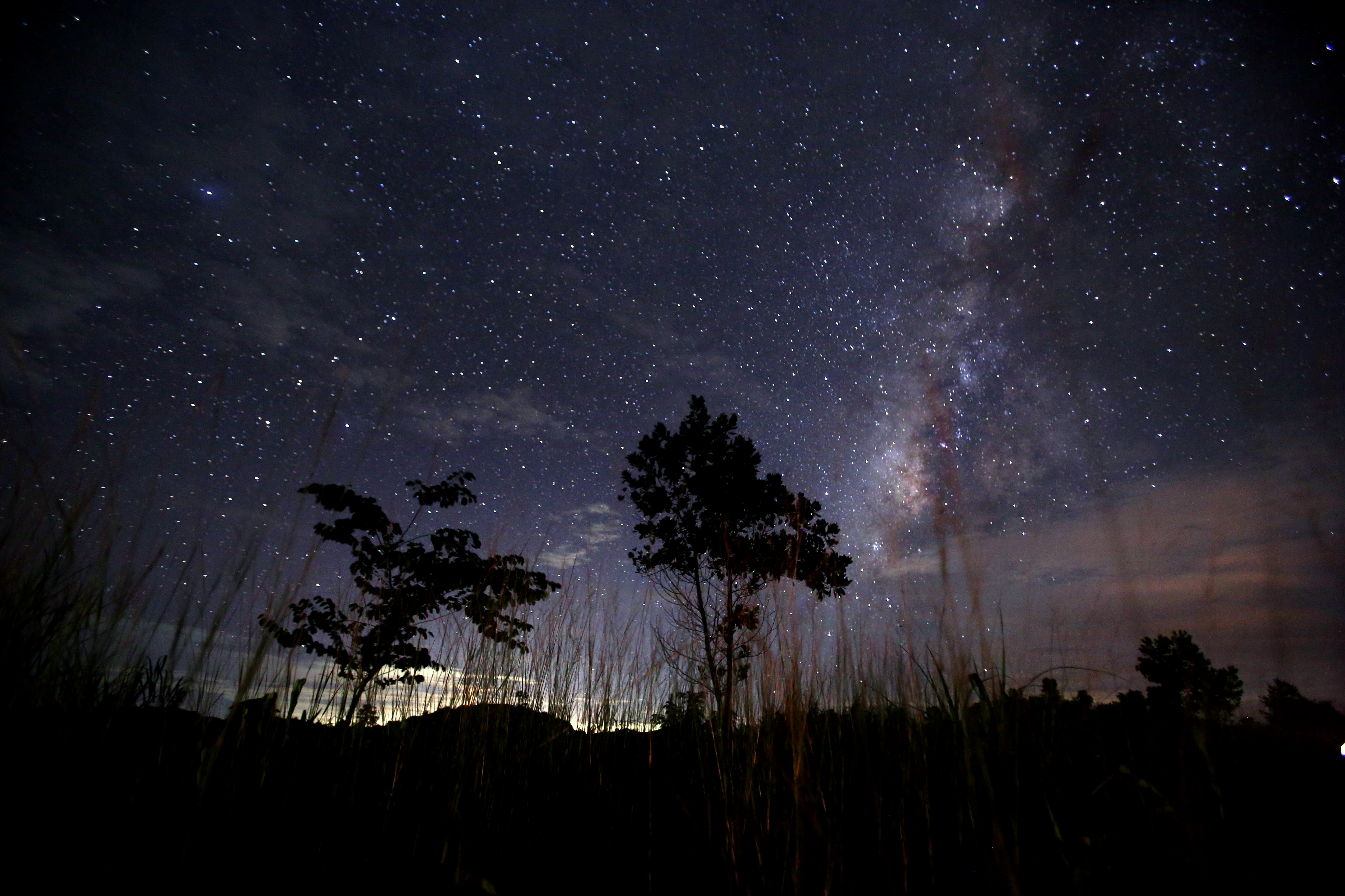 Произведение звездопад. Ночное небо. Ночное небо в августе. Звездное небо. Августовское звездное небо.