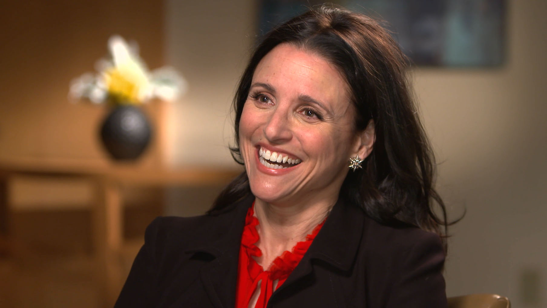 Julia Louis-Dreyfus on 'Enough Said' .