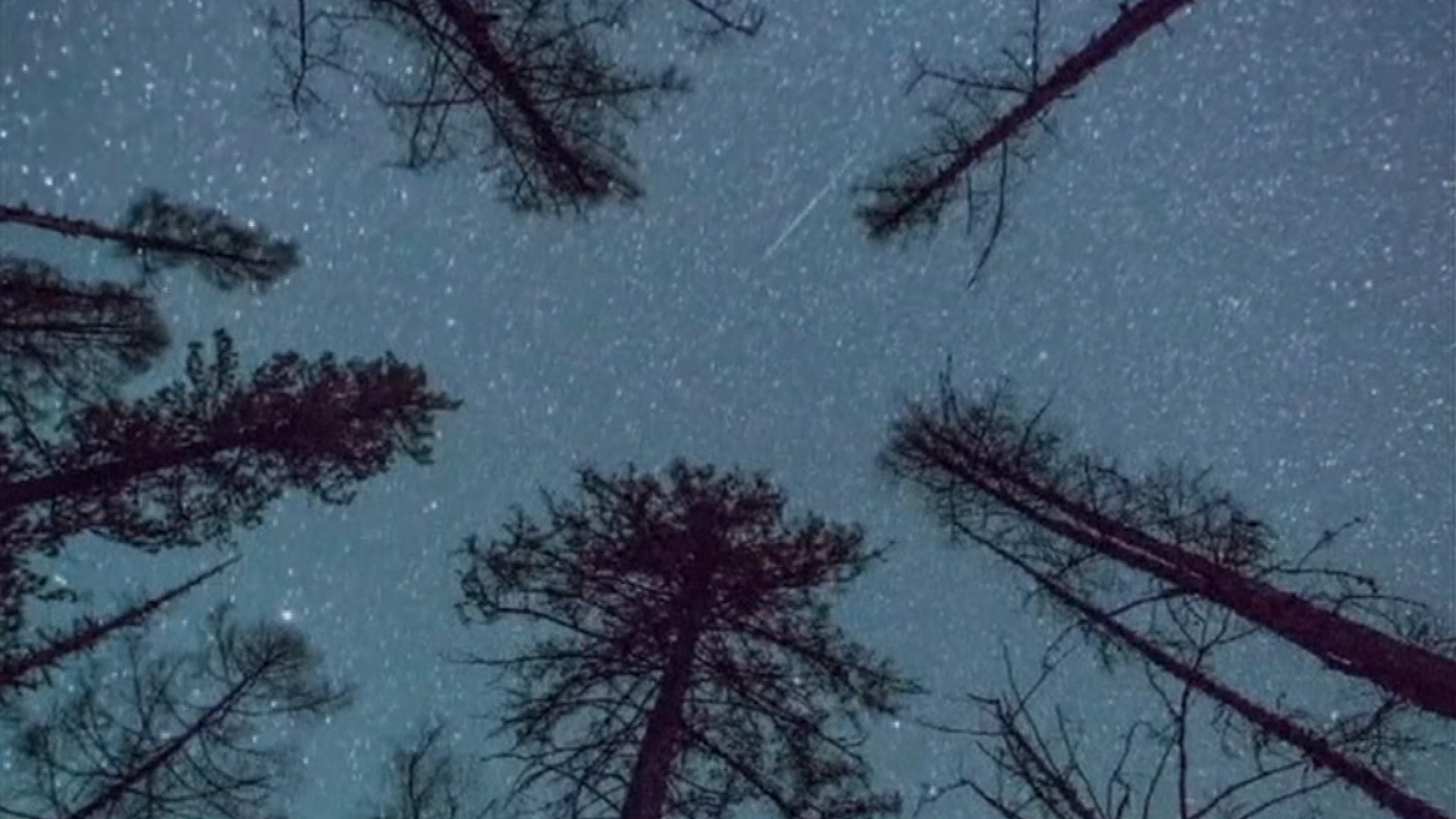 Метеоритный ливень. Максимум метеорного потока персеиды. Пик метеорного потока персеиды. Метеоритный дождь бриппу. Метеорный рой.