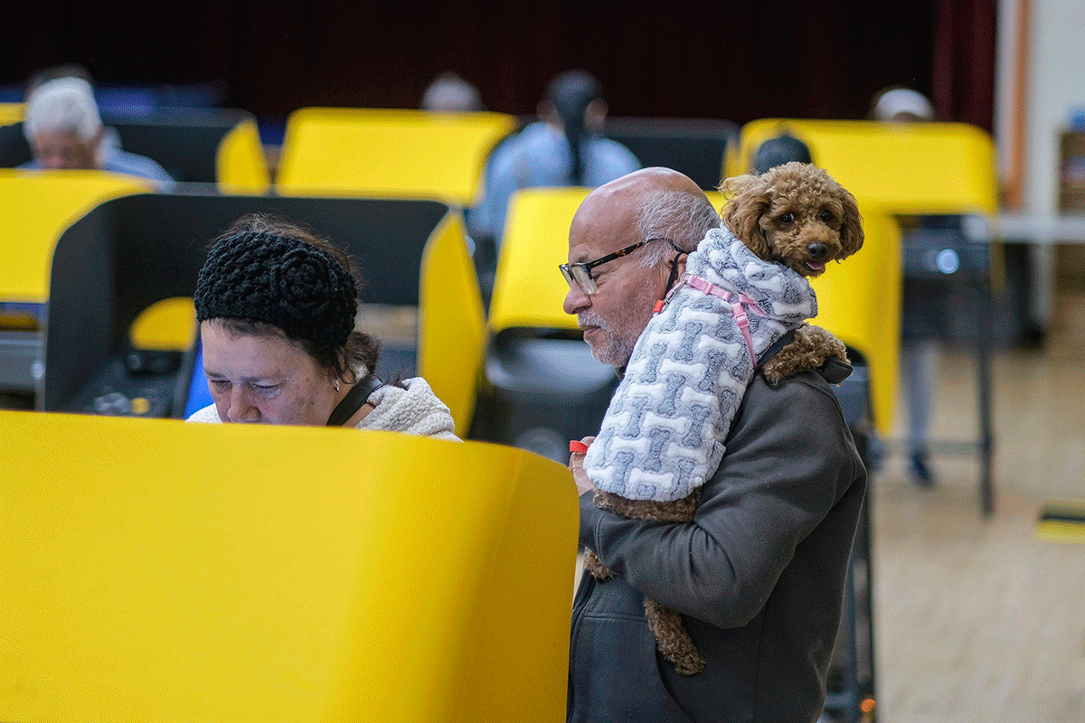 Dogs on election day in Los Angeles, Ohio, Arizona and Pittsburgh.