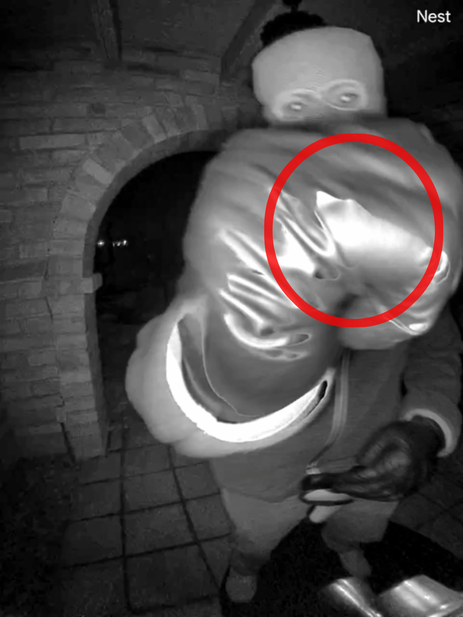 Security footage from the house of Nancy Guthrie, released by the FBI.