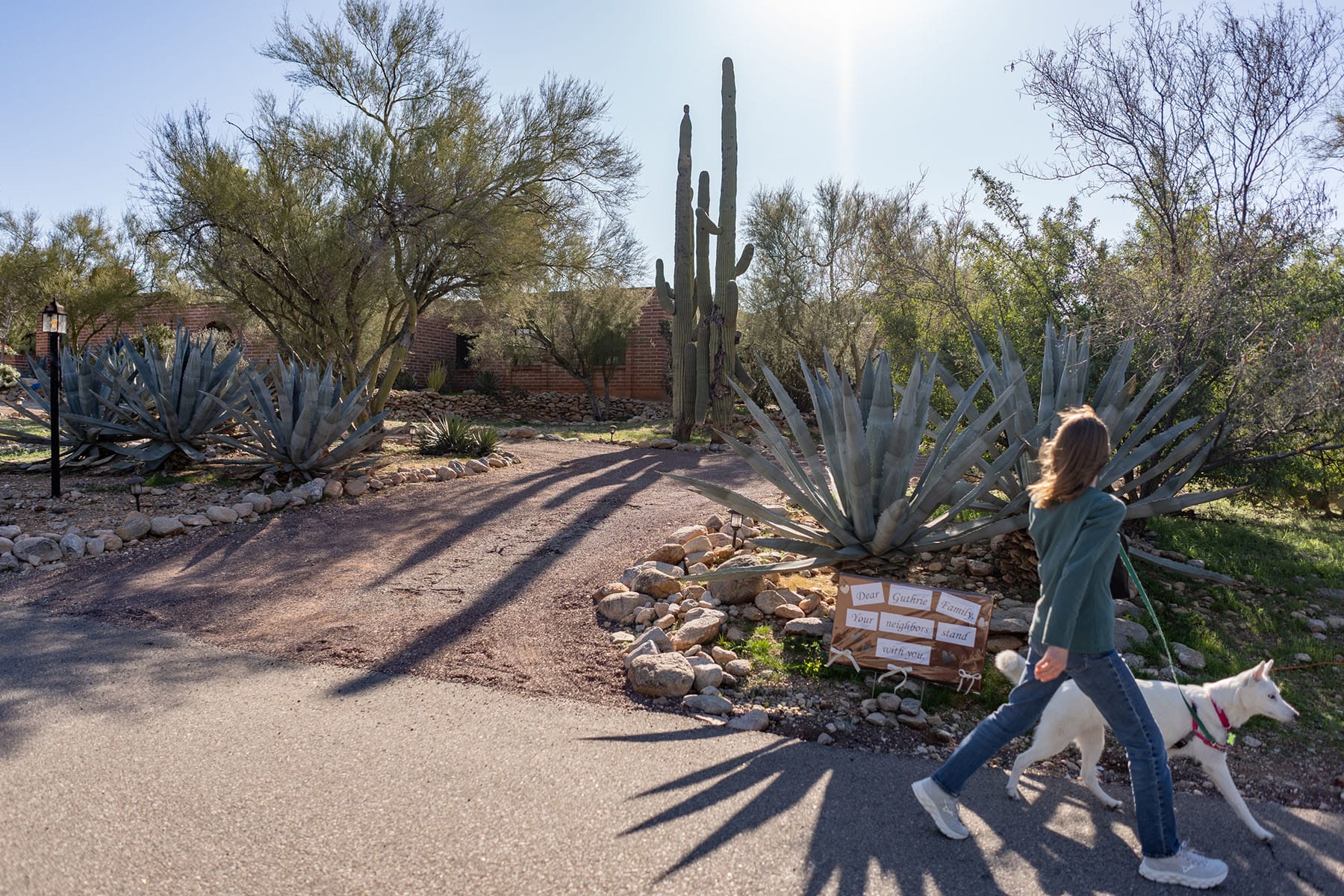 A neighbor walks a dog in front of the Nancy Guthrie's house on Feb. 3, 2026 in Catalina, Ariz.