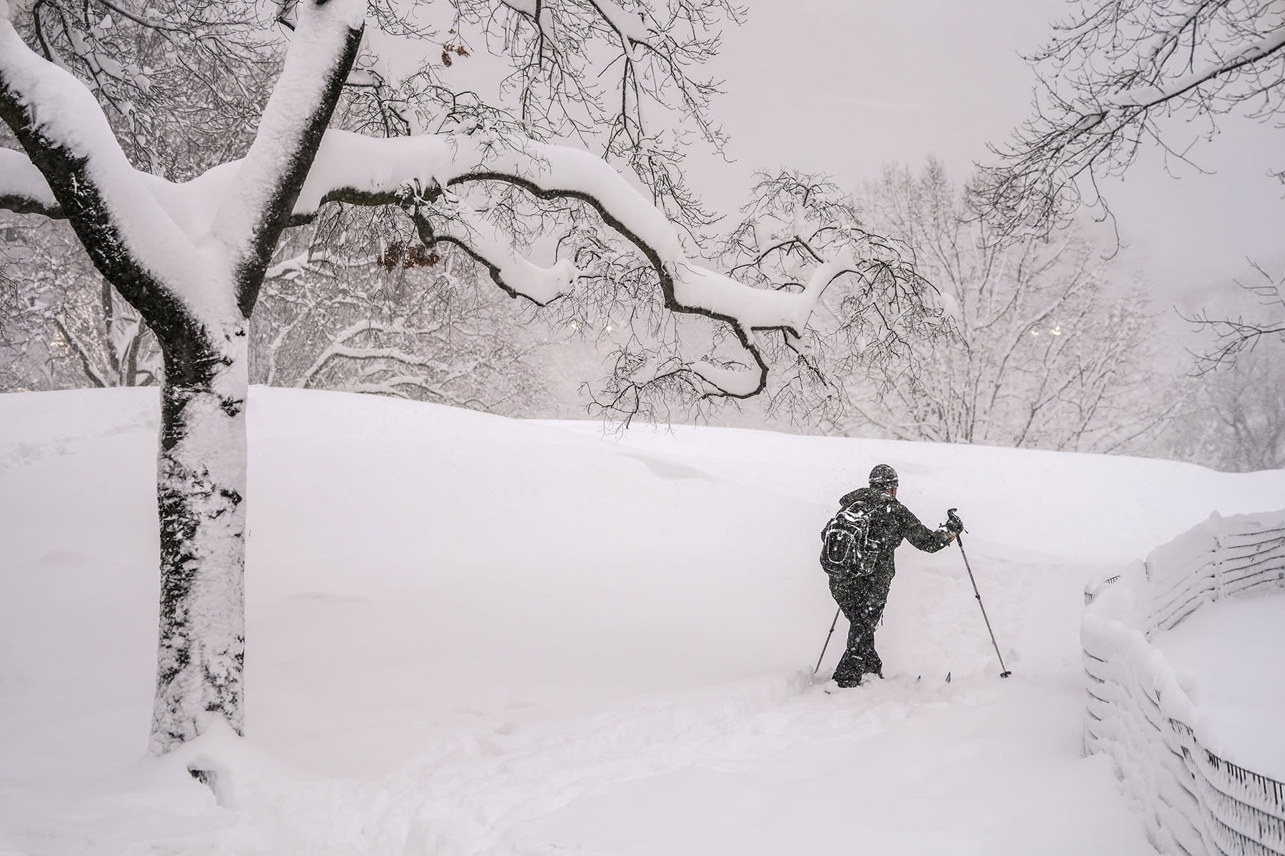 A man in Central Park in New York 