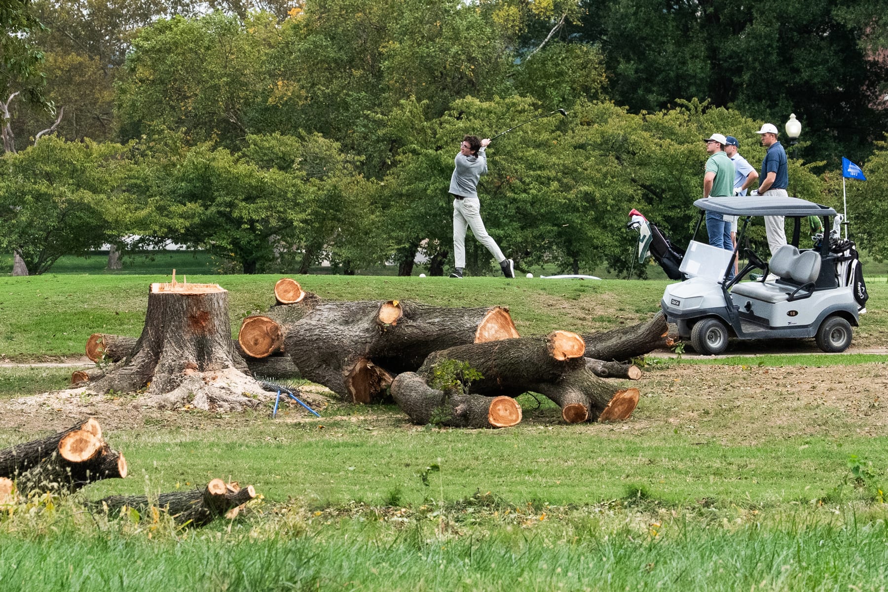Felled trees and a tree stump are seen as golfers play on the golf course