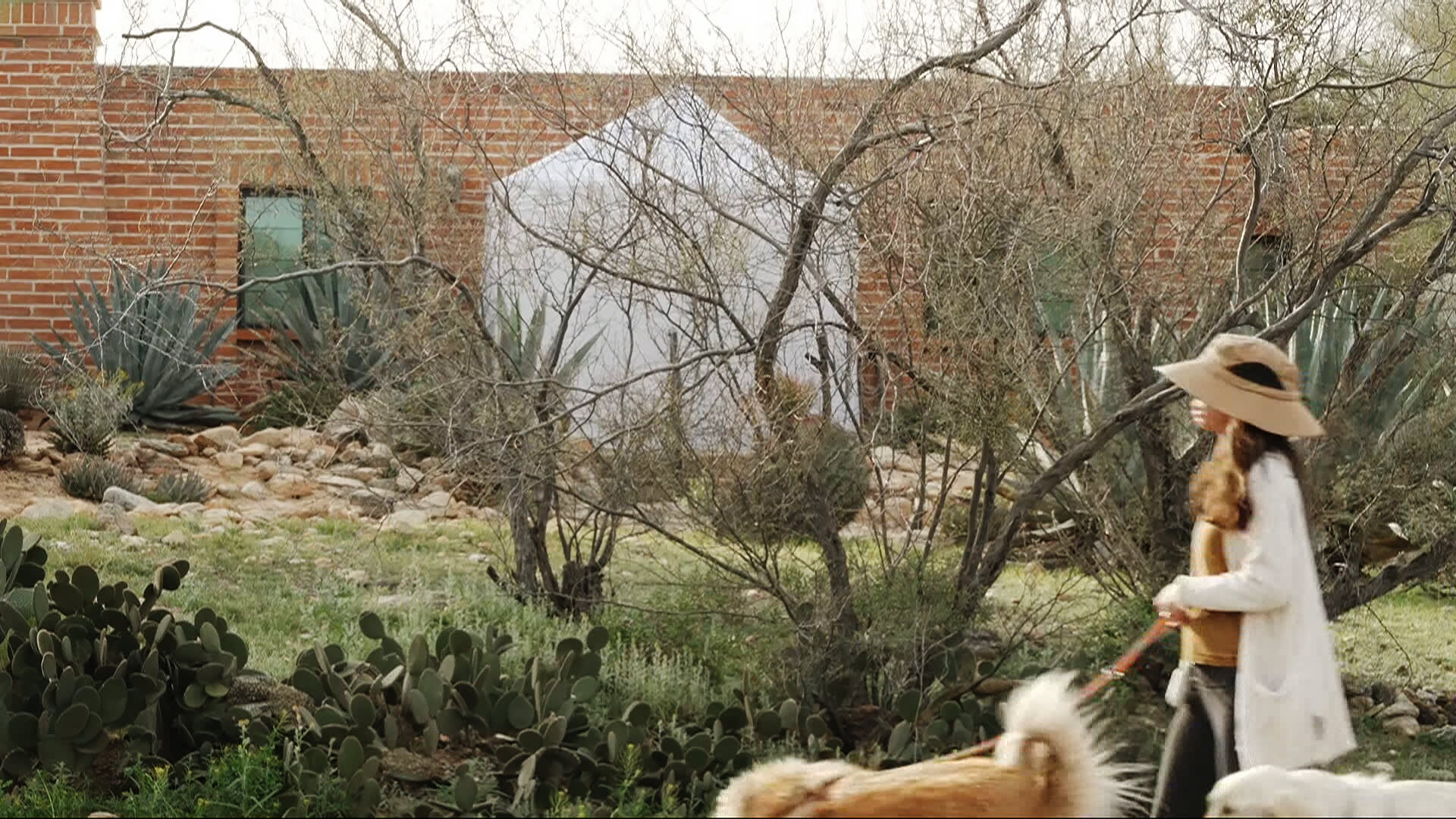A woman walks her dogs past Nancy Guthrie's house on Feb. 12, 2026, where a tent has been erected outside her door.