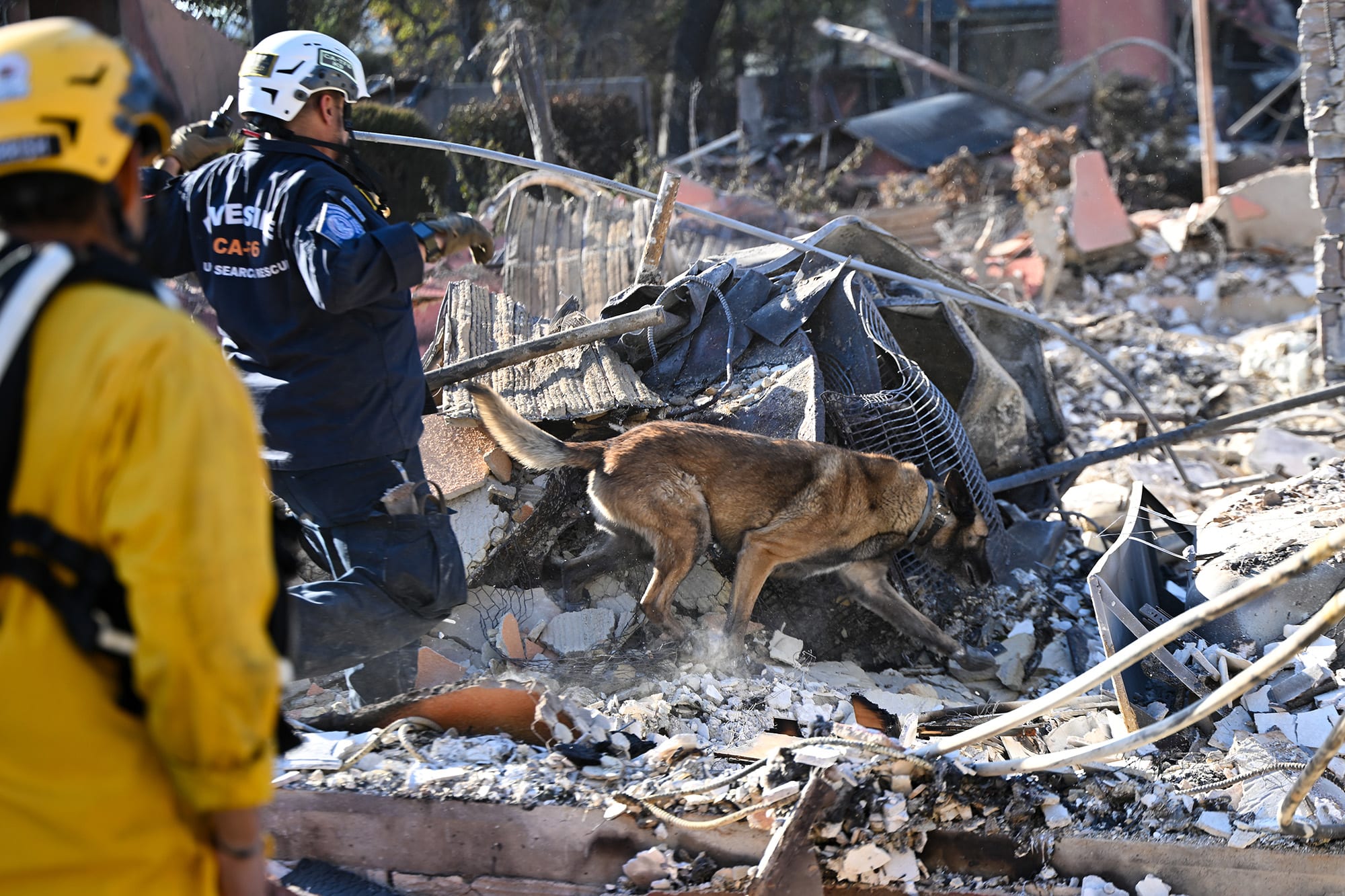 Los Angeles Fire: Search and Rescue team look for human remains in debris of burned houses