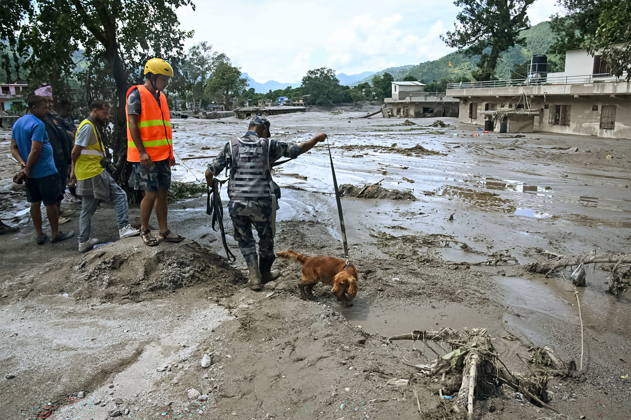A police officer and his sniffer dog search for survivors