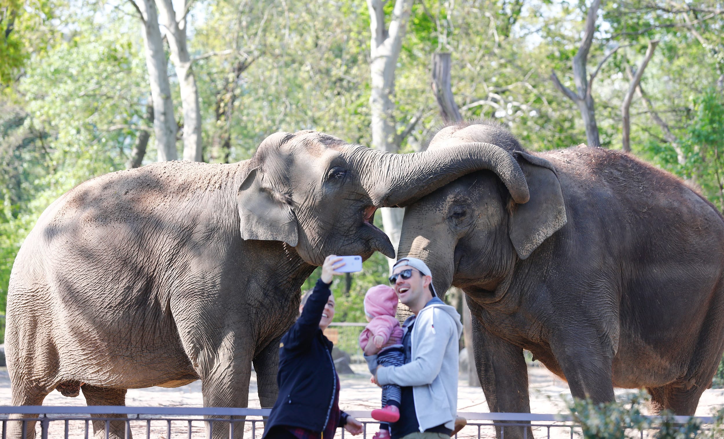 Image: People take a picture during thetr visit at the reopened zoo, as the spread of the coronavirus disease (COVID-19) continues in Berlin