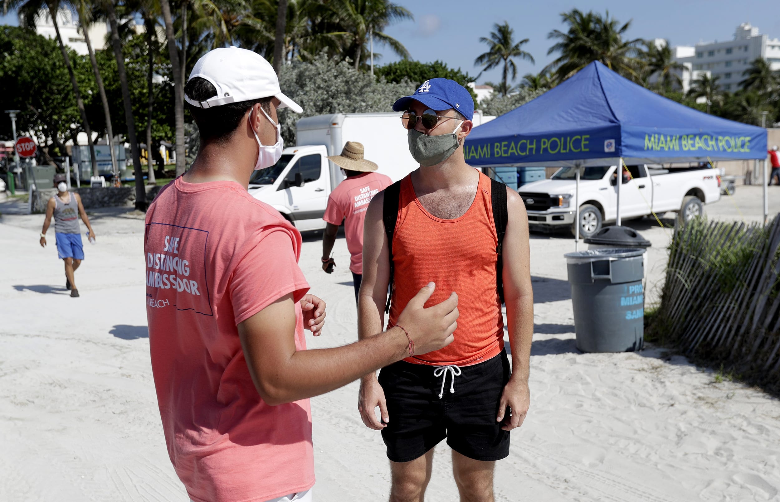 Image: Will Callahan