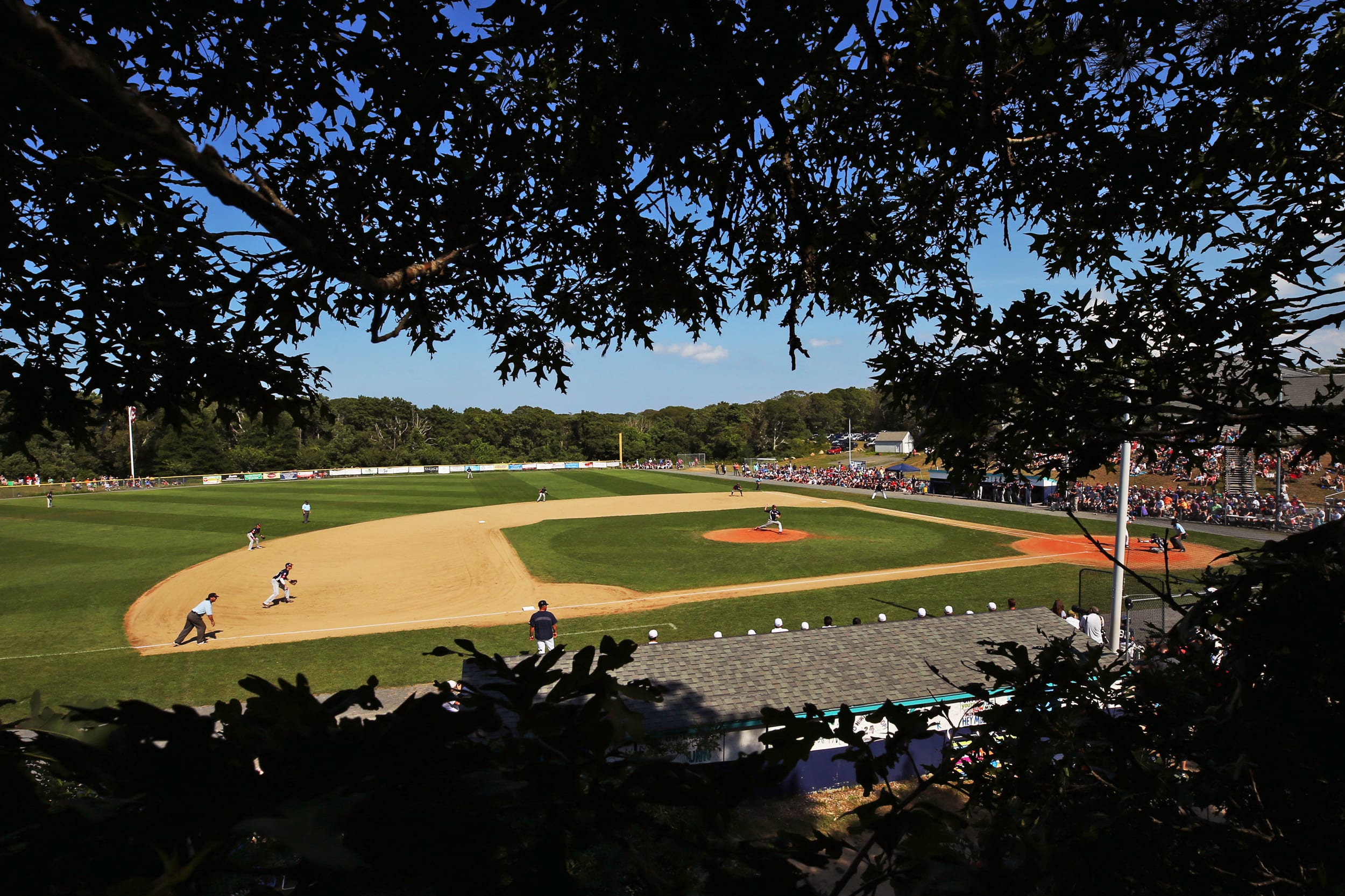Cape Cod League Championship Series