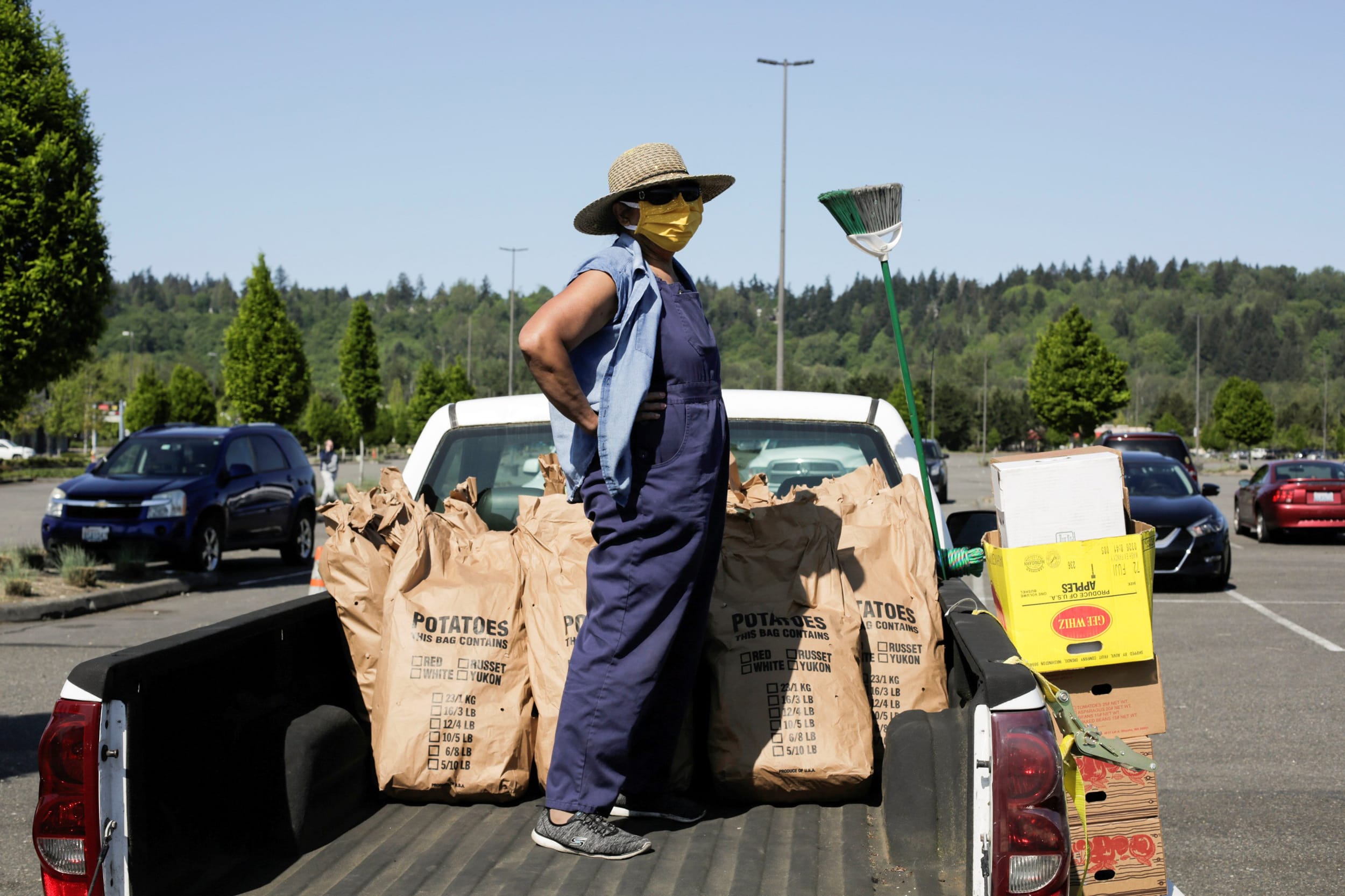 Image: People queue for handouts of excess potatoes in Auburn