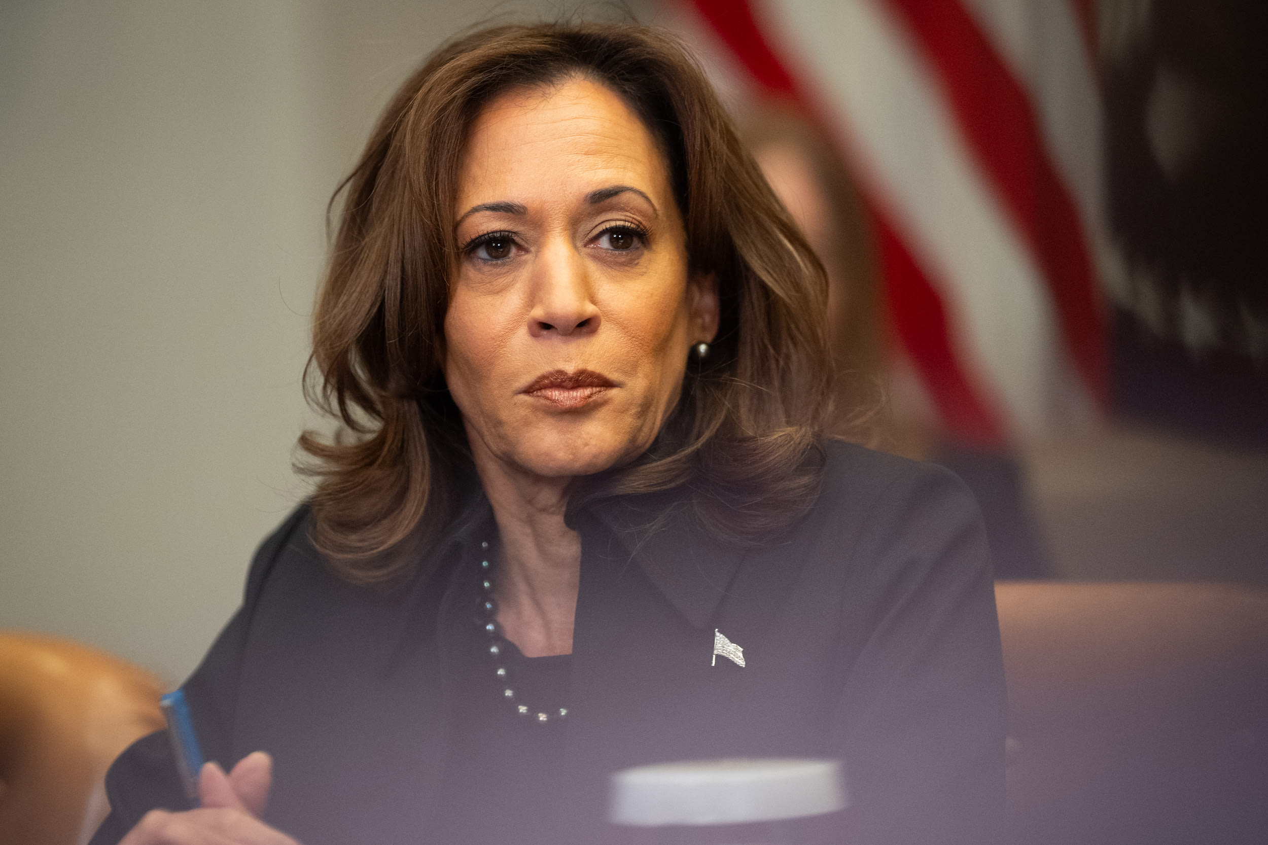 Kamala Harris is pictured in a meeting.