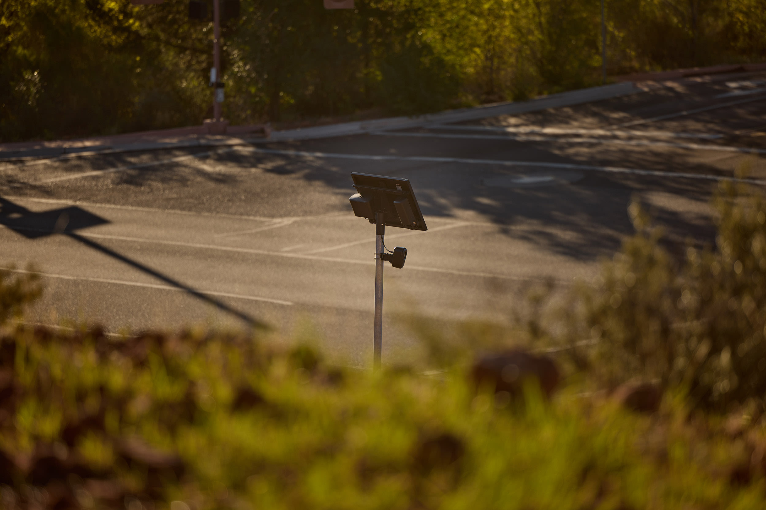 Image: A flock camera photographed during sunset