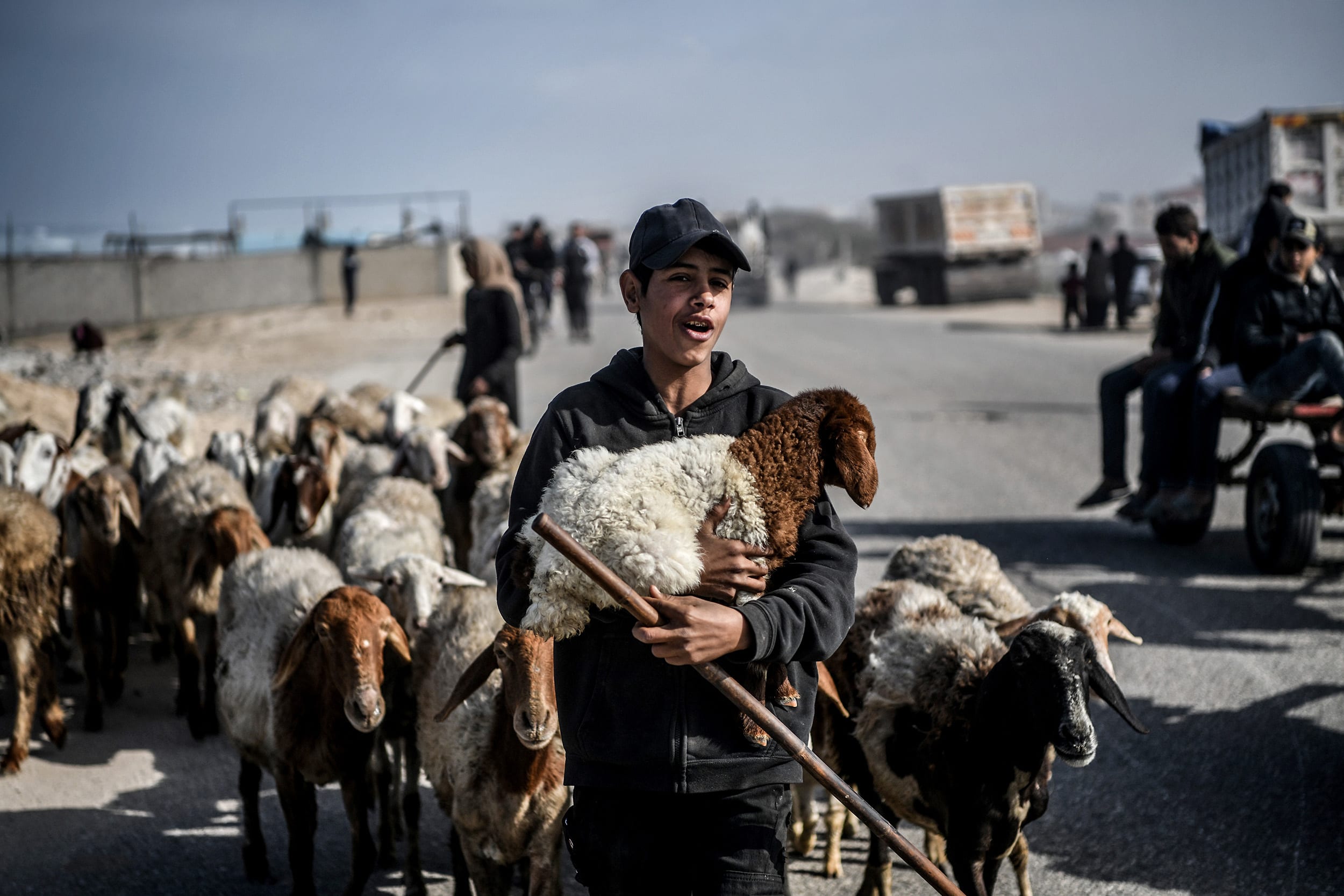 Thousands of Palestinians were compelled to relocate towards Rafah, situated along the Egyptian border, due to escalated Israeli military attacks on Khan Younis. Among the displaced Palestinians, some embarked on their journey with minimal possessions and were forced to migrate using donkey carts as they lacked access to vehicles. 