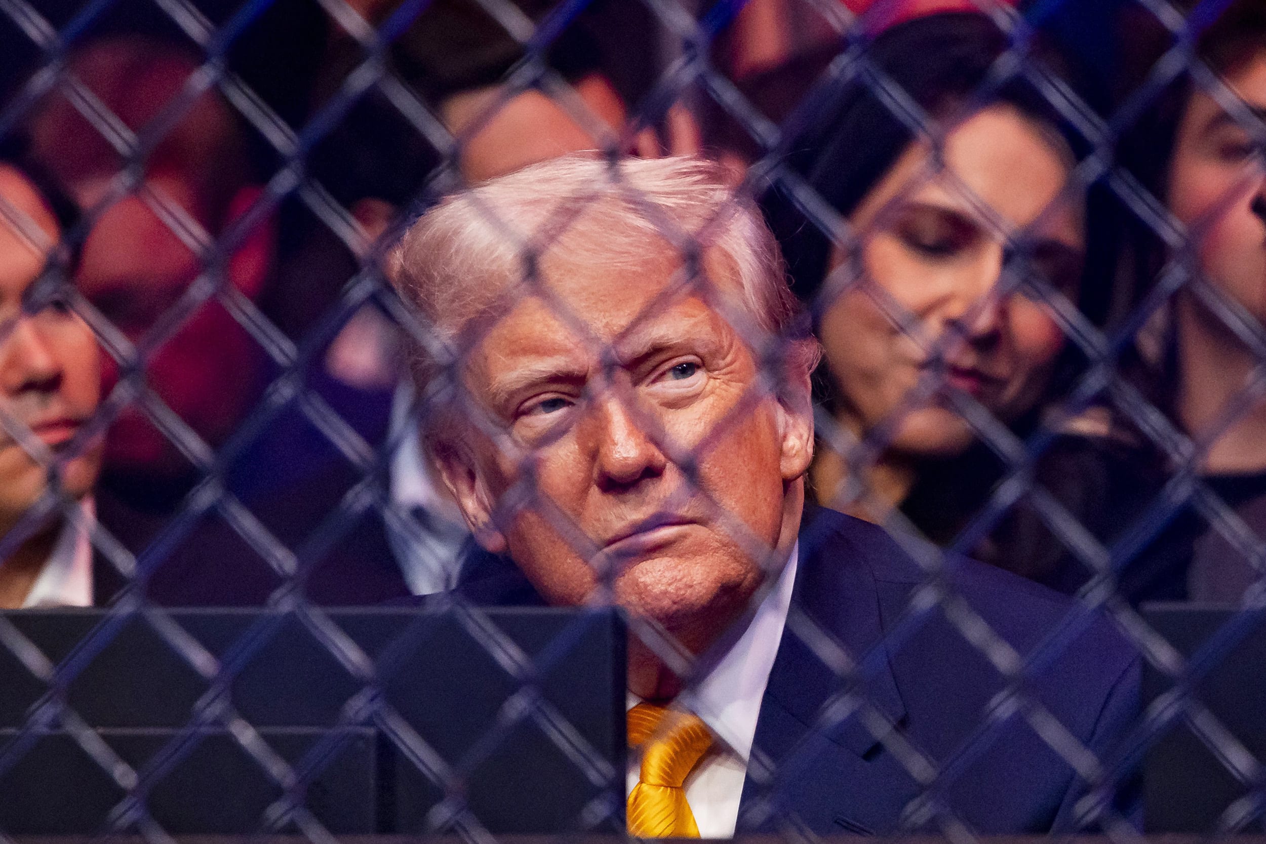 President Trump at the UFC