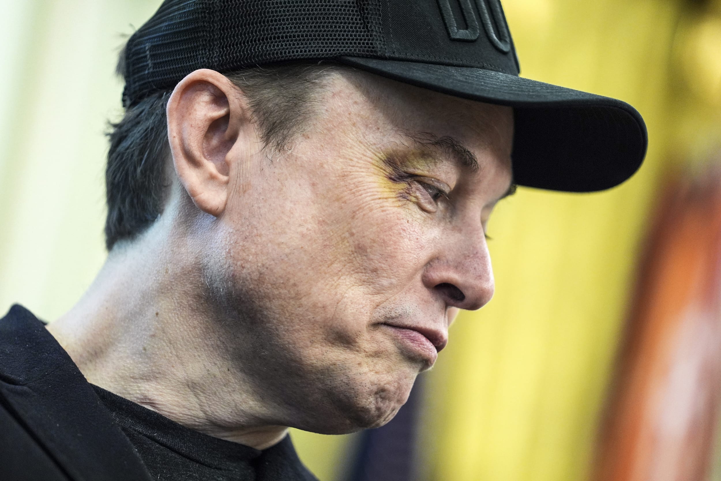 Donald Trump,Elon Musk