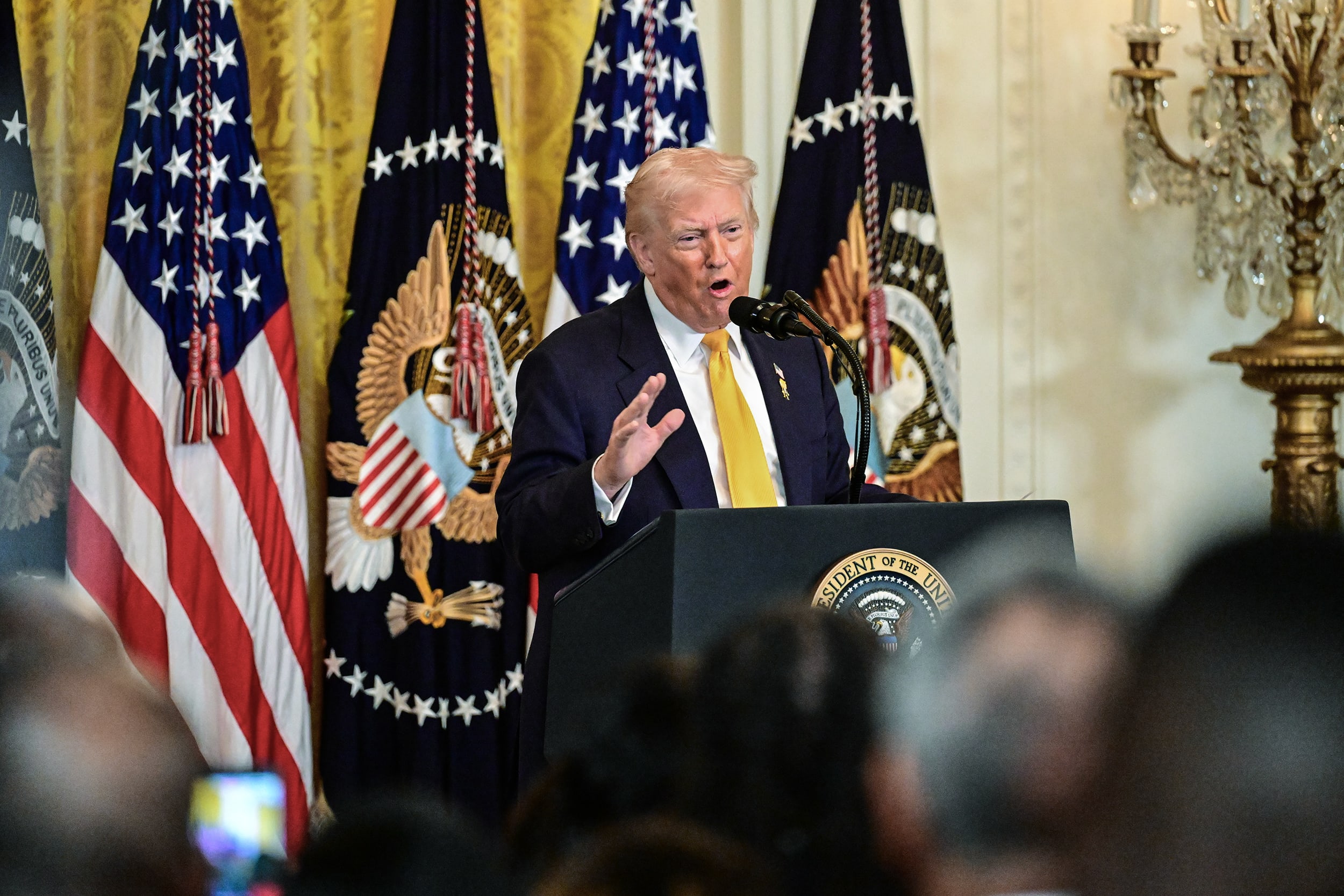 Donald Trump speaks at a lectern in front of a grouping of flags behind him.