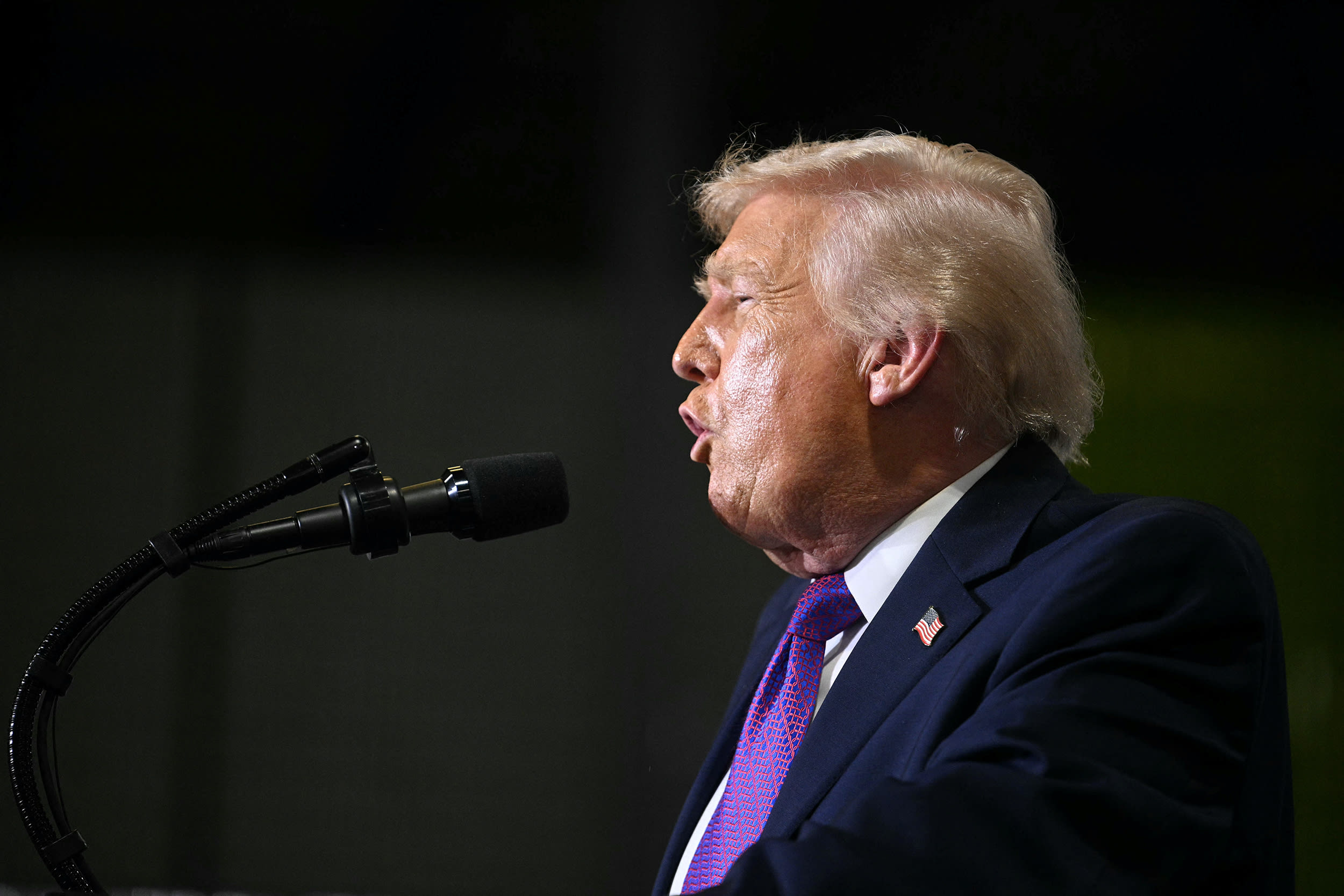 Donald Trump faces to the left while speaking into a microphone.
