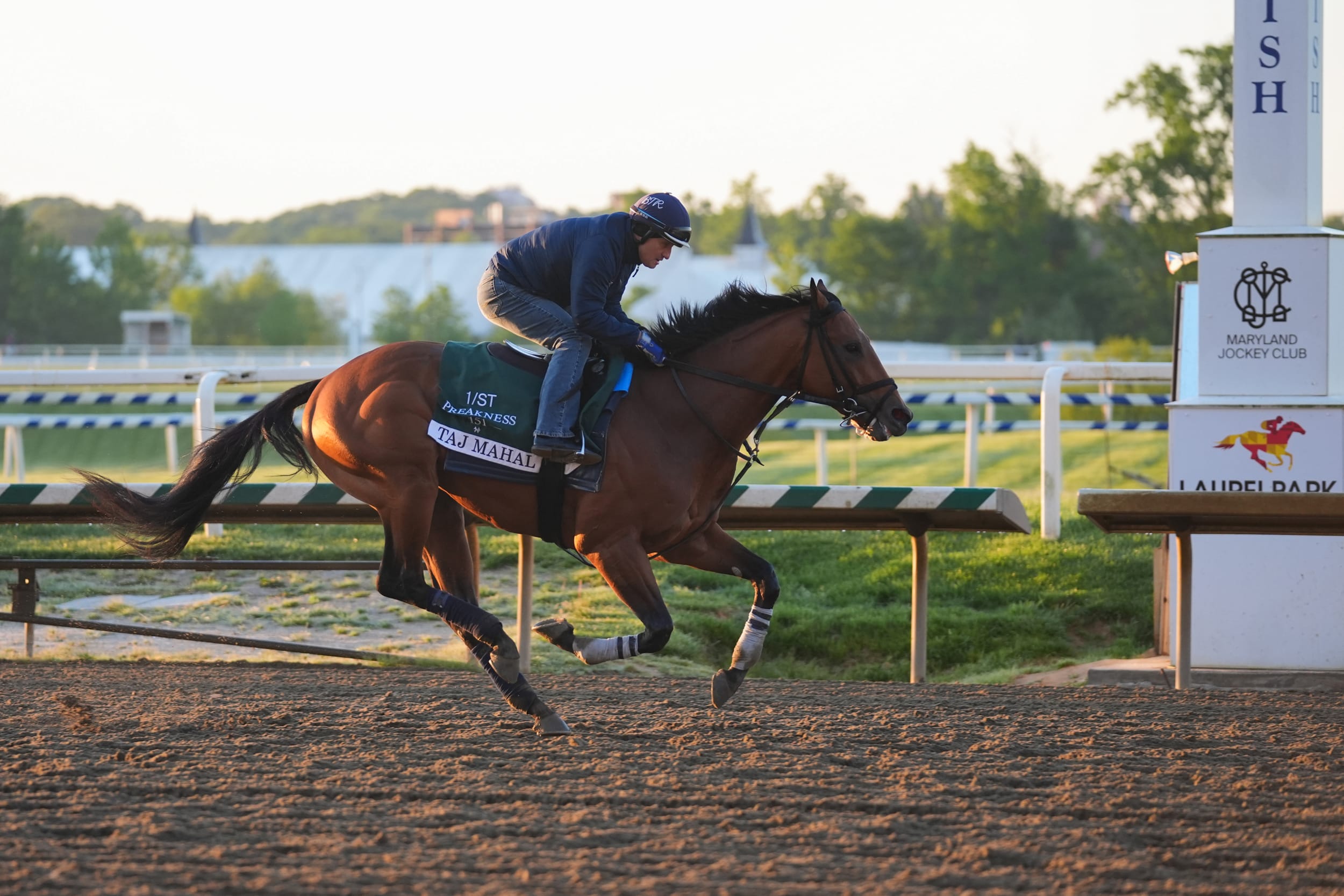 Taj Mahal Preakness-Workouts