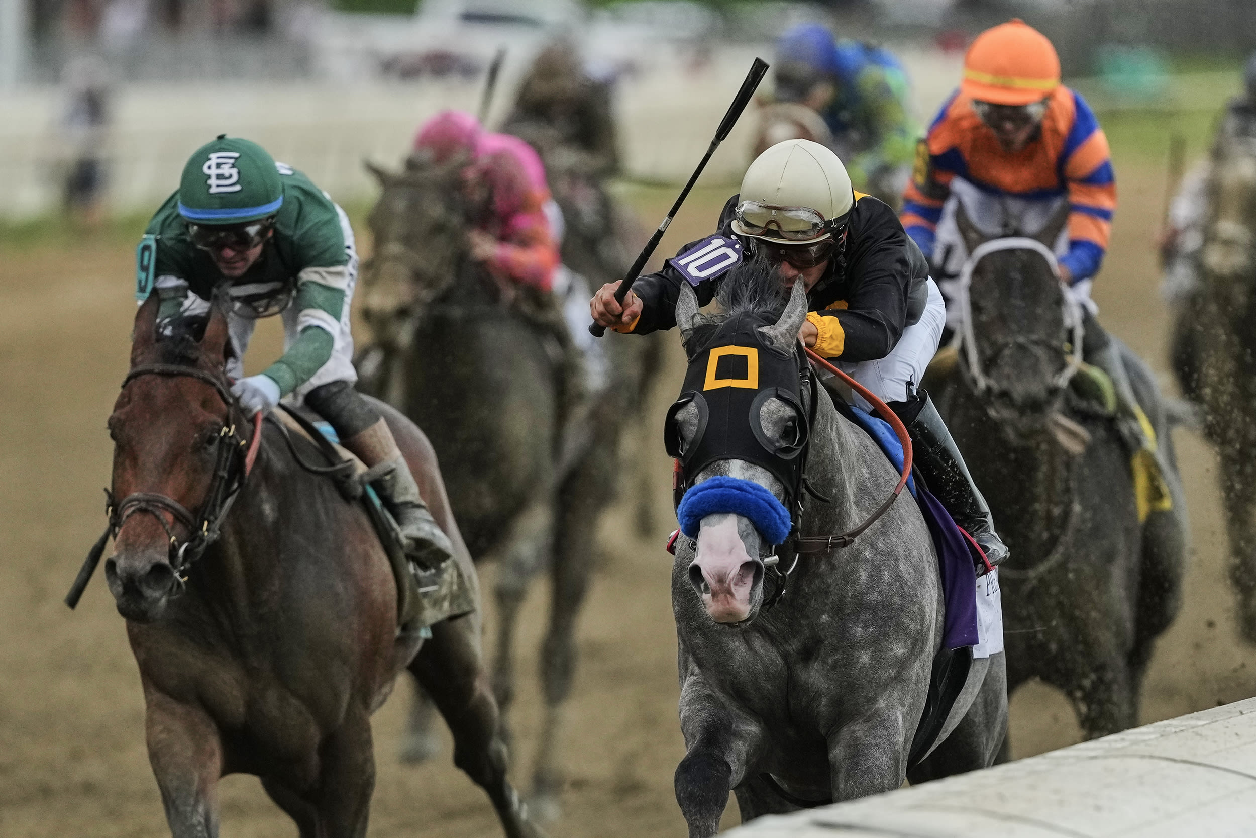 Preakness Horse Racing action.