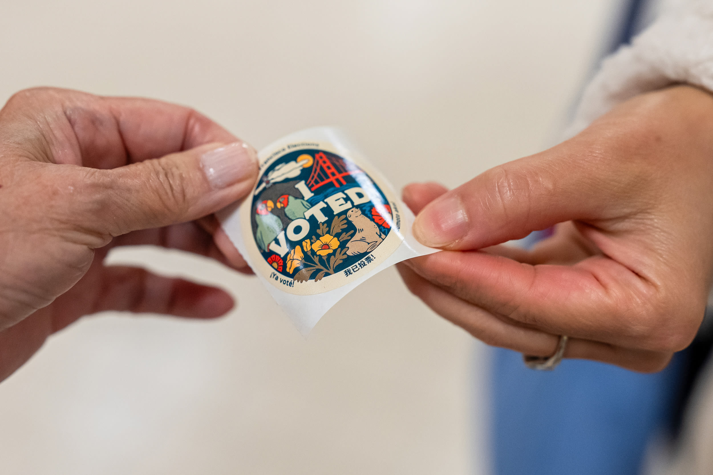 California Residents Vote In Primary Election