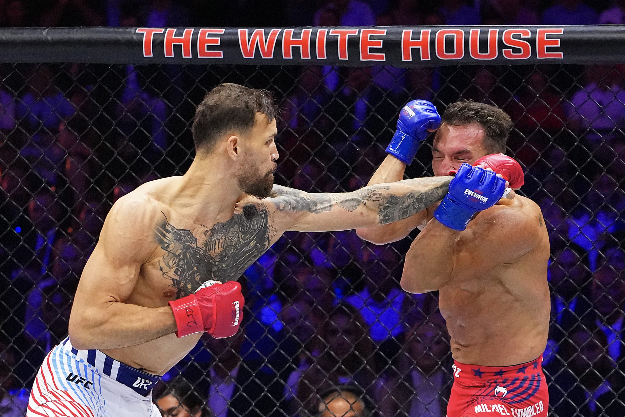 UFC Freedom 250 event on the White House lawn