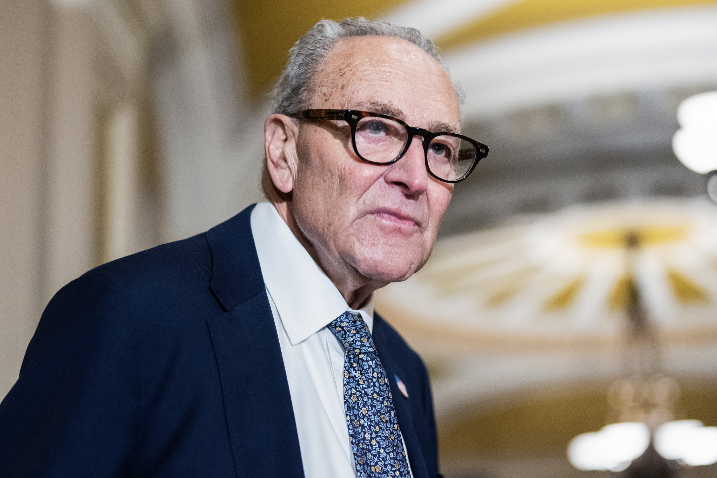 Senate Minority Leader Senate Minority Leader Charles Schumer, D-N.Y.